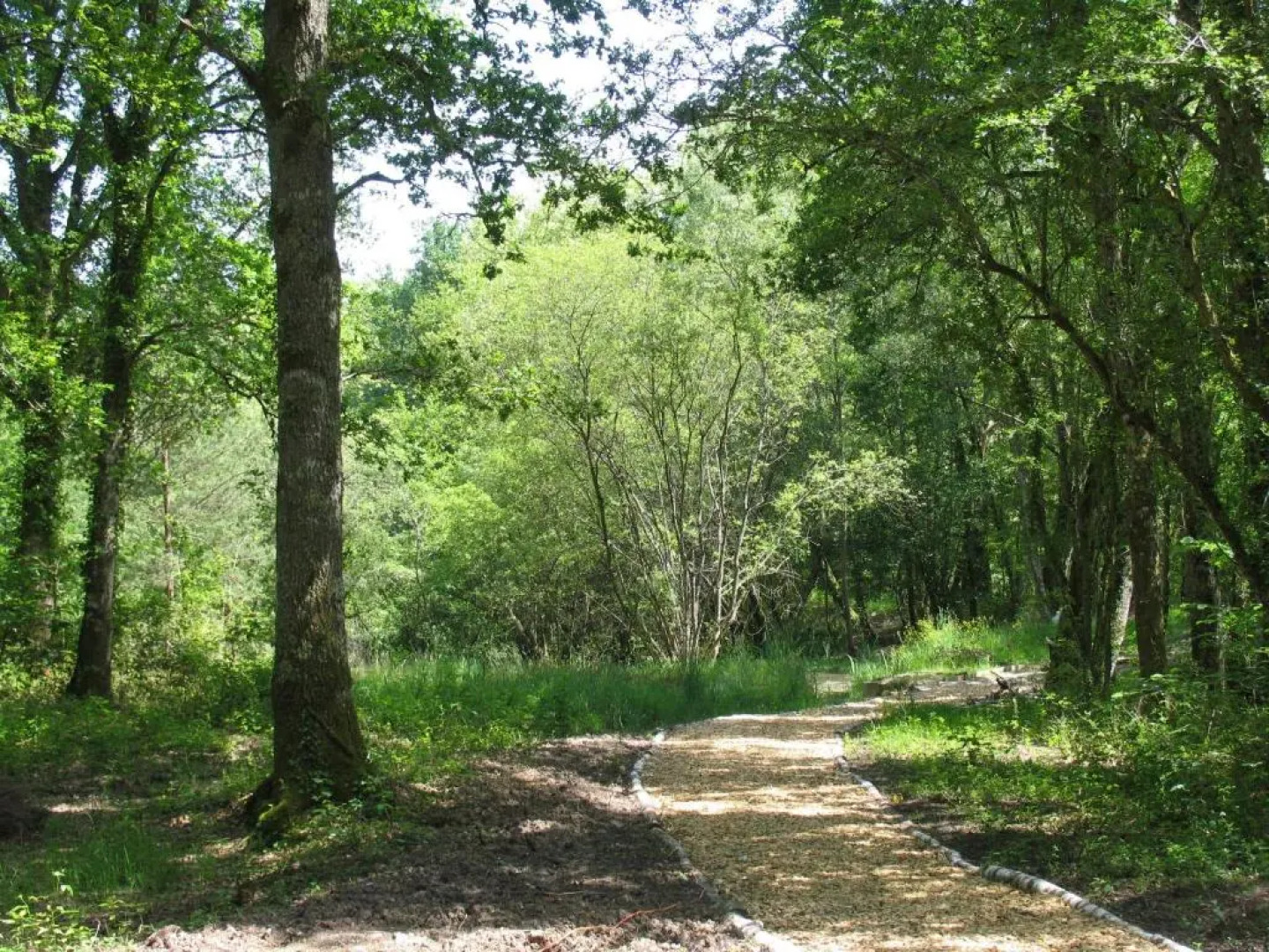 Une Nuit aux Lierres...