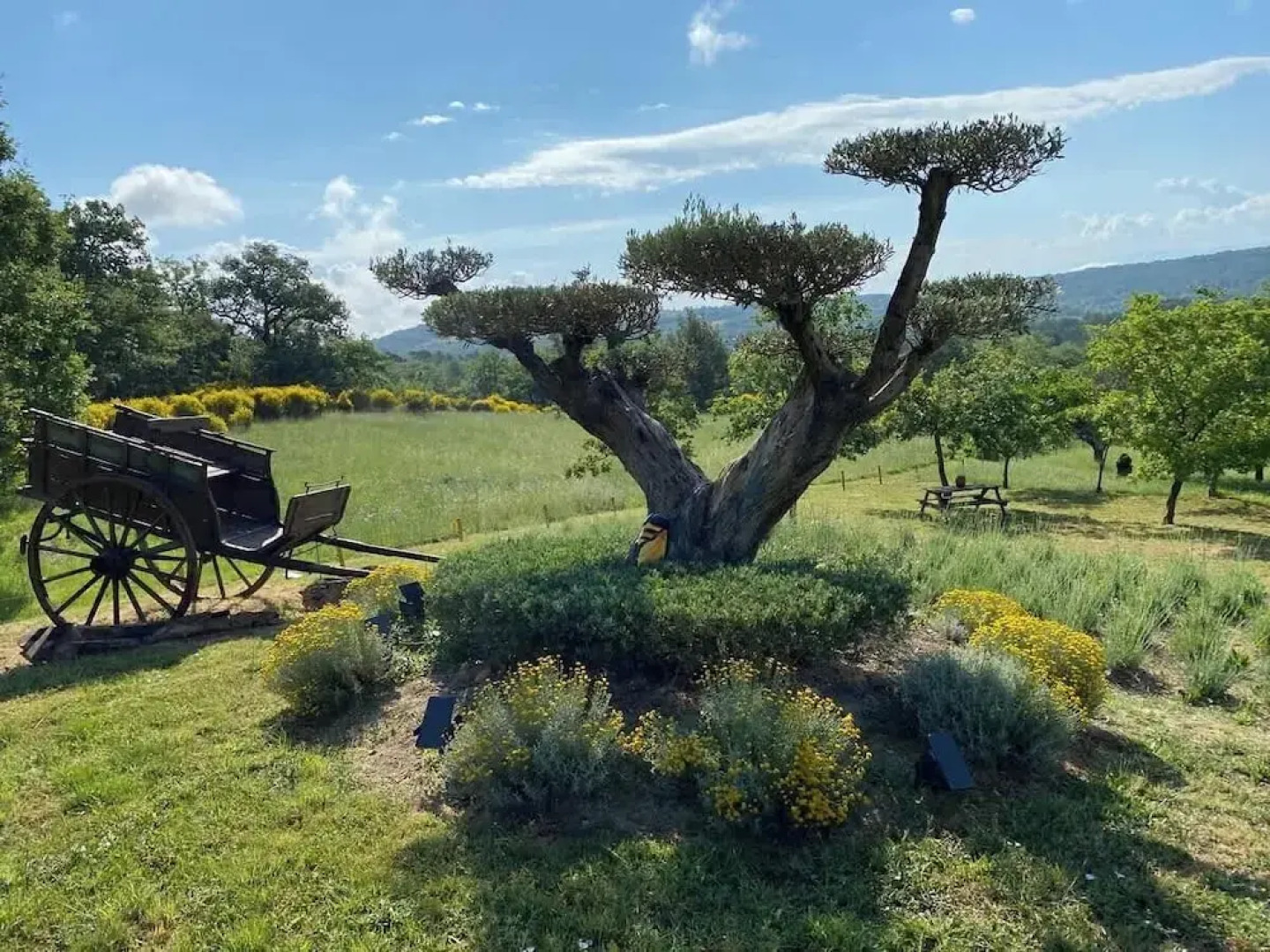 Villa in Murs Heart of the Luberon