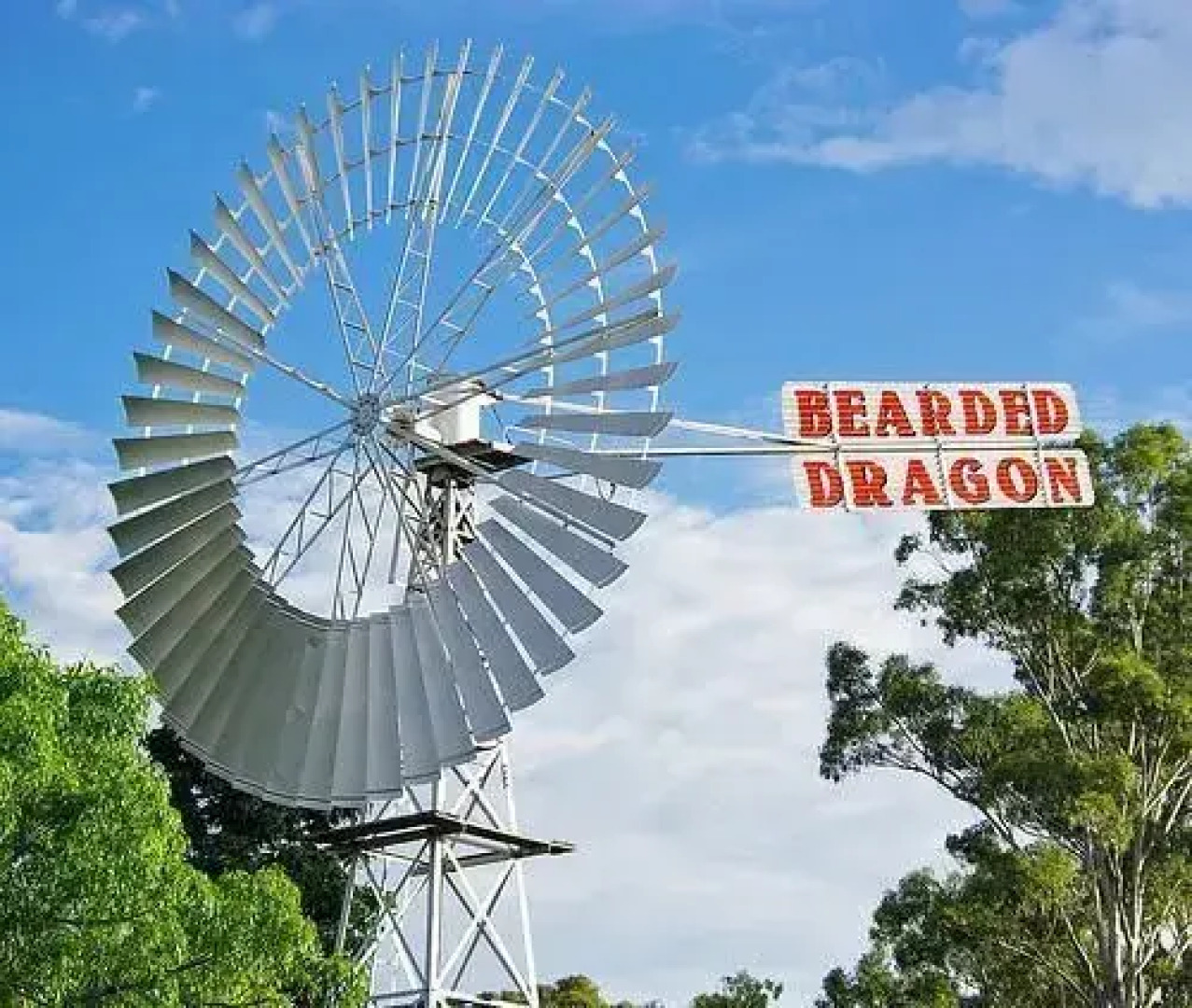 The Bearded Dragon Boutique Hotel