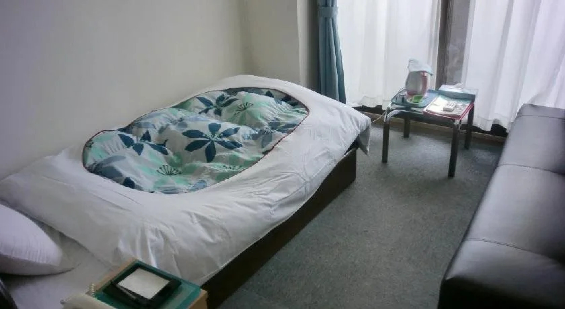 Business Hotel Nishiotsu