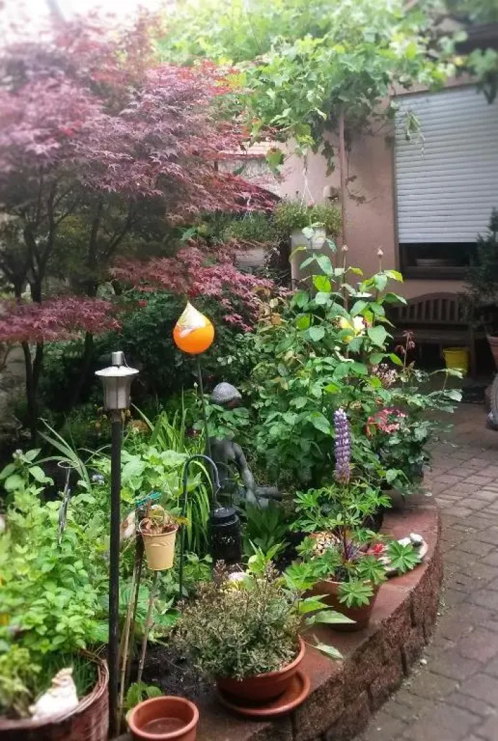 Pension Zur Schlummerstube