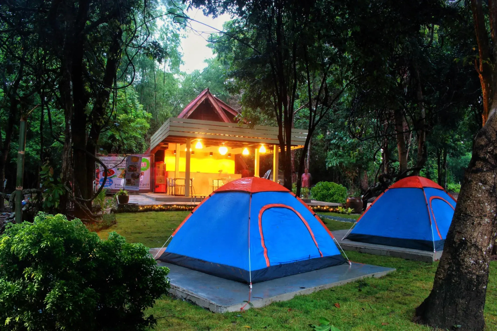 Mulberry at Pang Sita