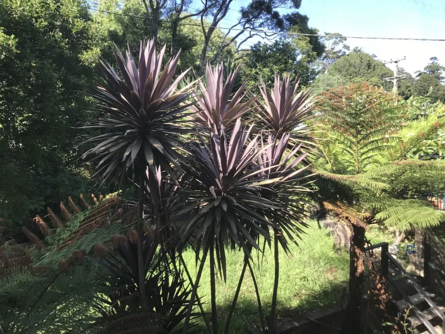 Mangerton Sweet Home