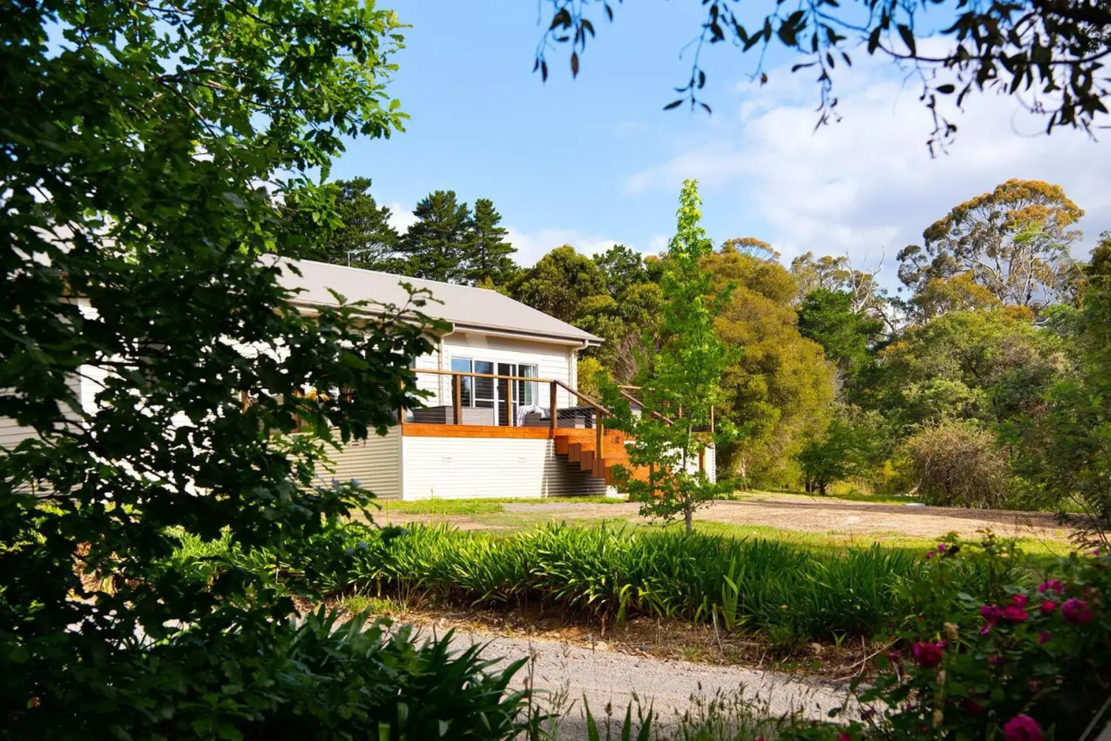 Brandy Hot Forest Retreat