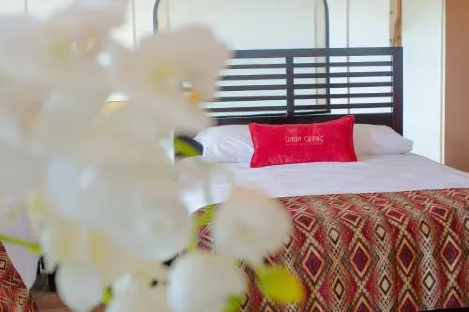 Luxury Camping Panama