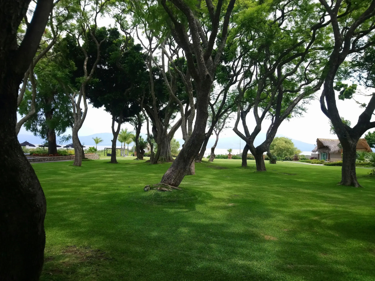 Nimue Marina Residence & Hotel Boutique