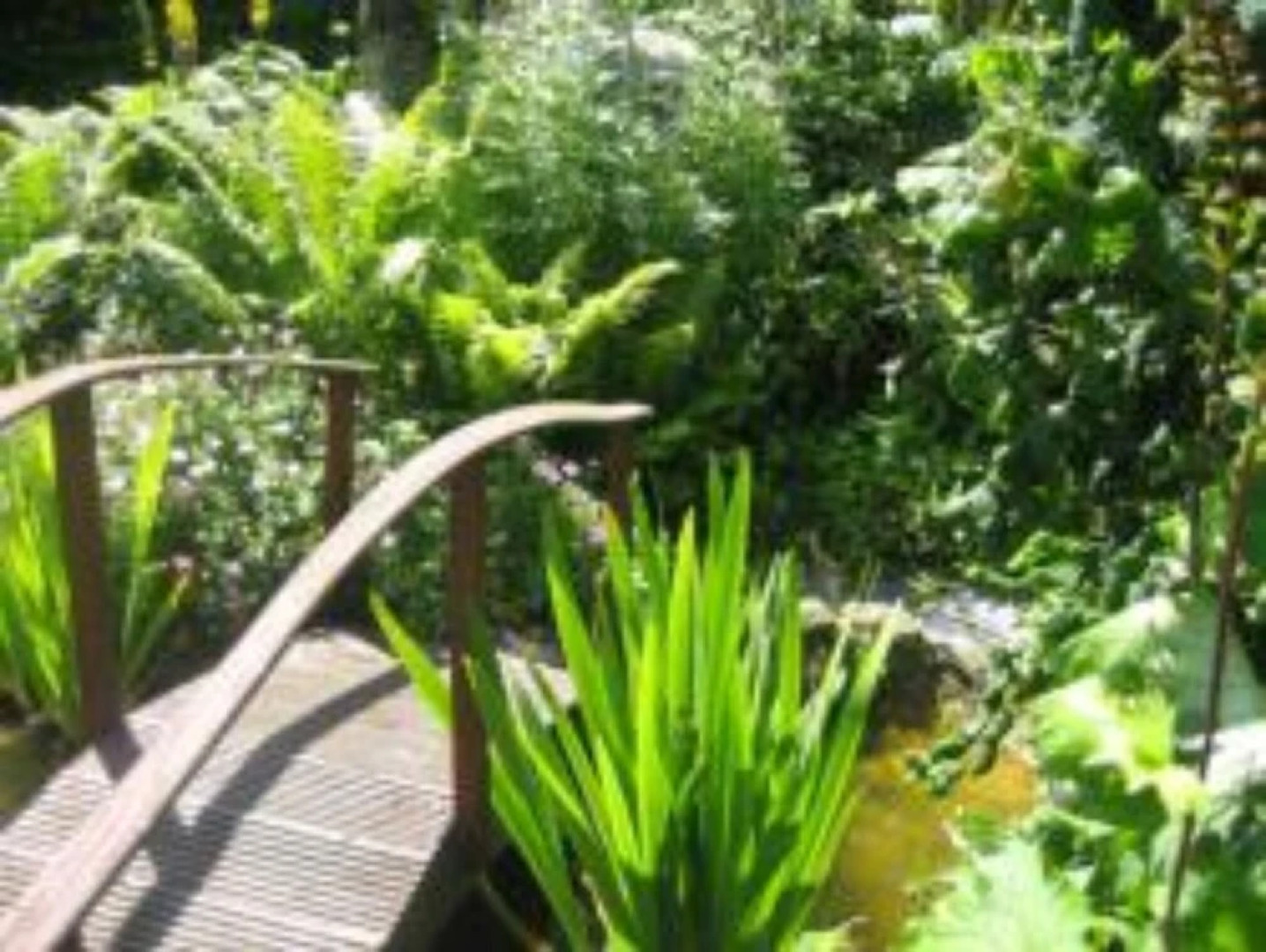 Abbeyside Holiday Cottage