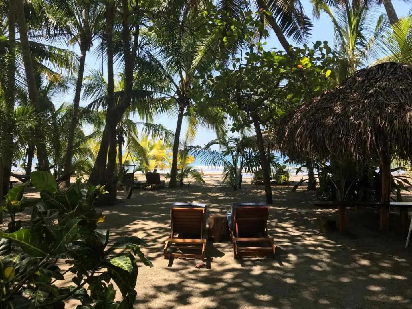 Fenix Hotel - On the Beach