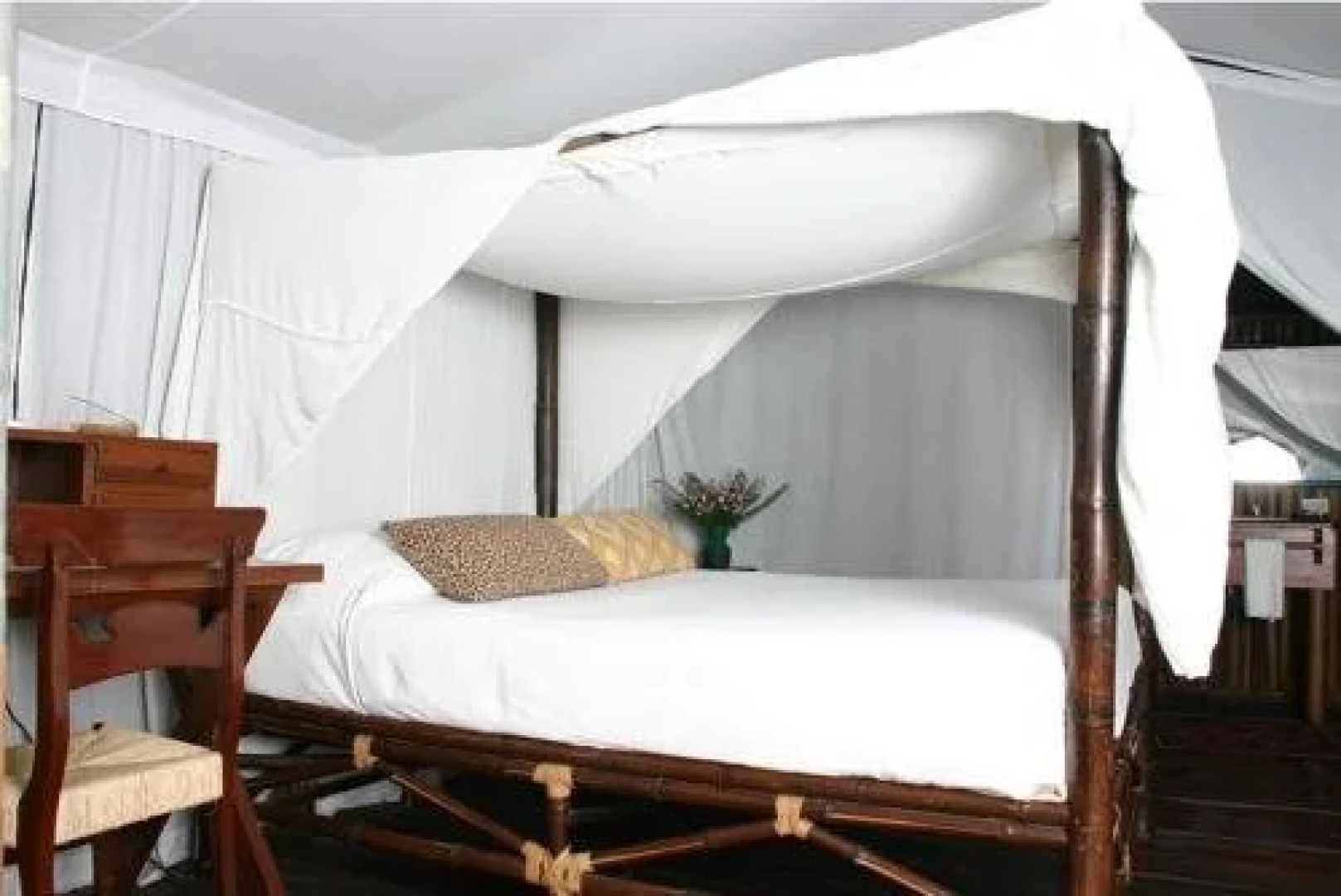 Expediciones Mexico Verde