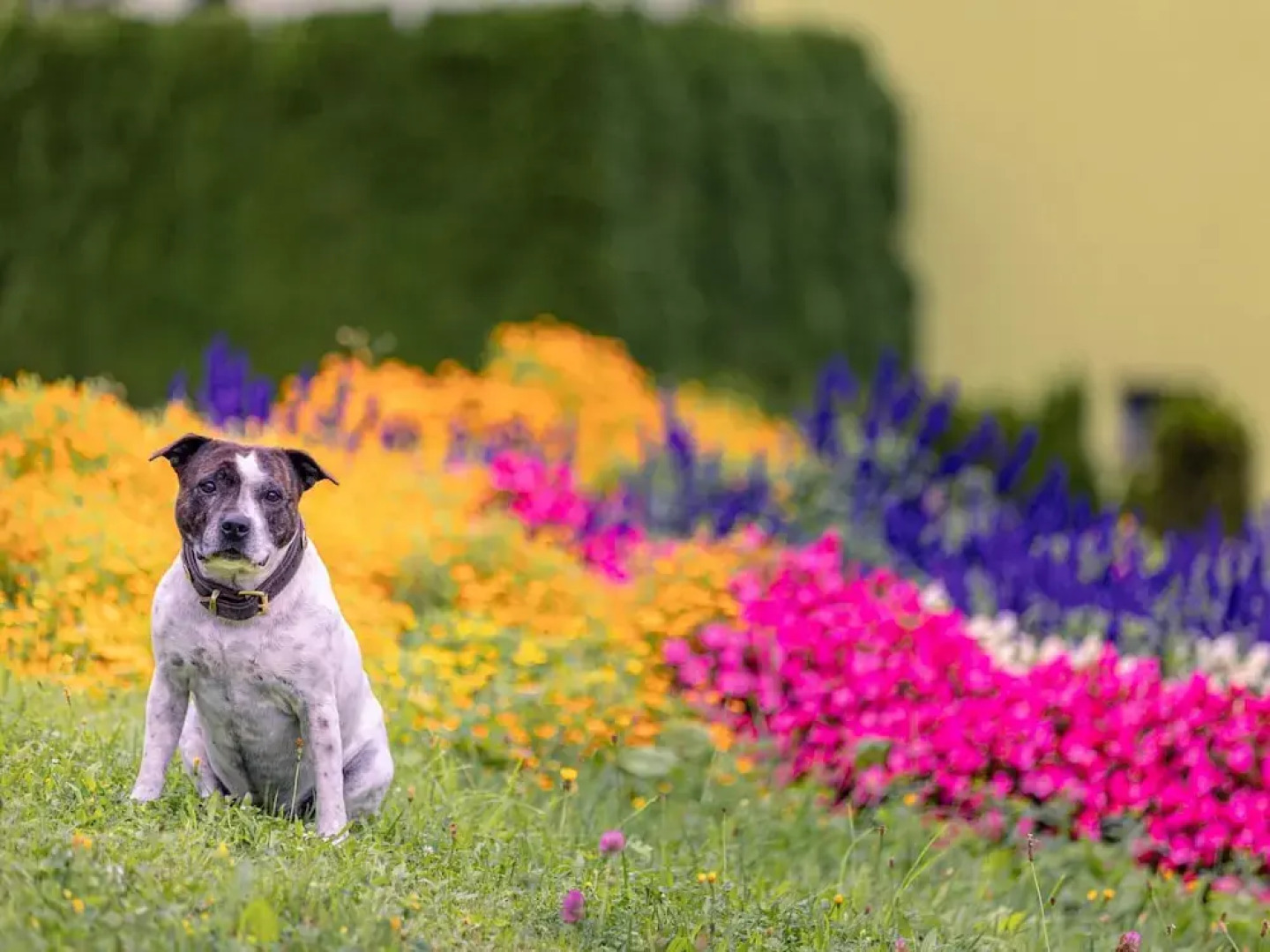 Apartment in Styria With Mountain Views