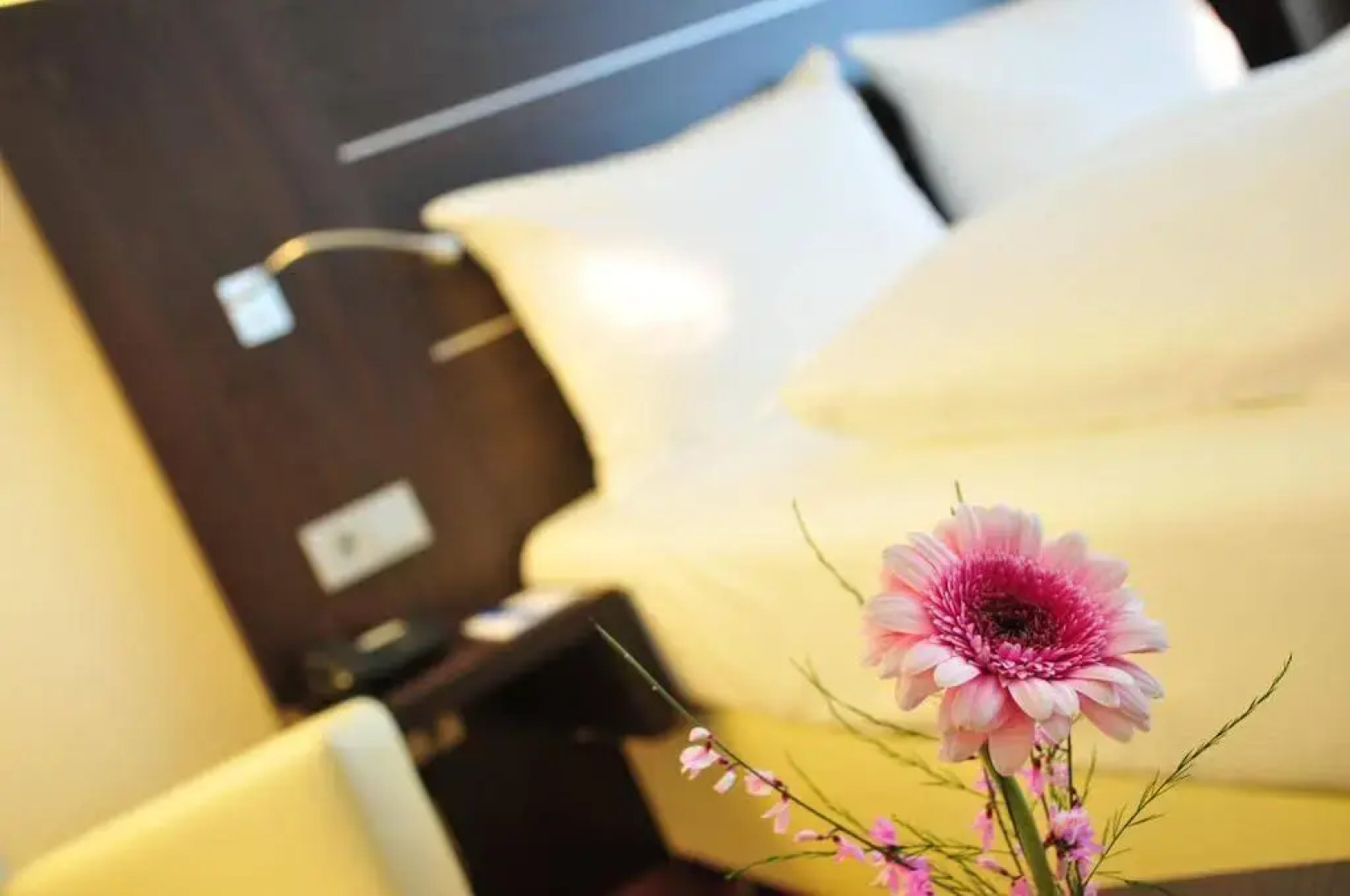 Hotel Rheingarten Duisburg