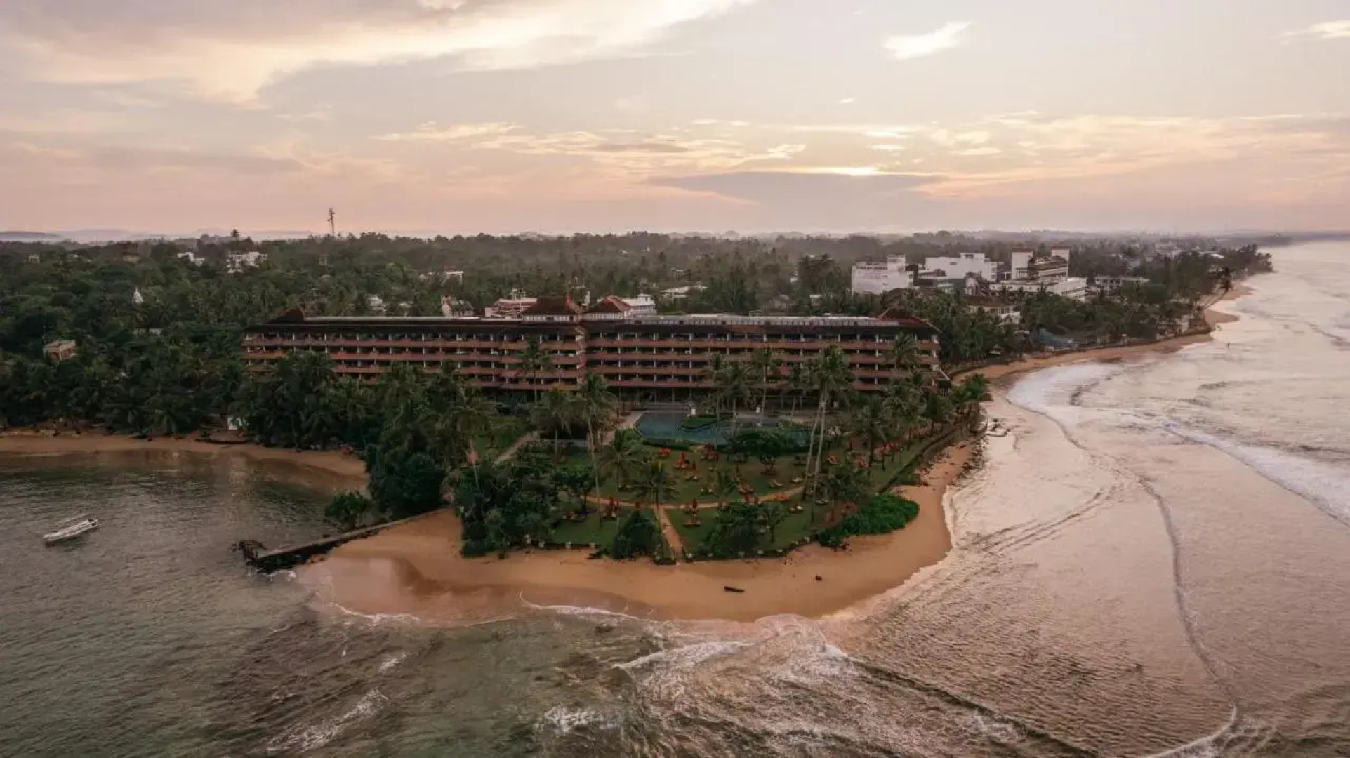 Hikka Tranz by Cinnamon