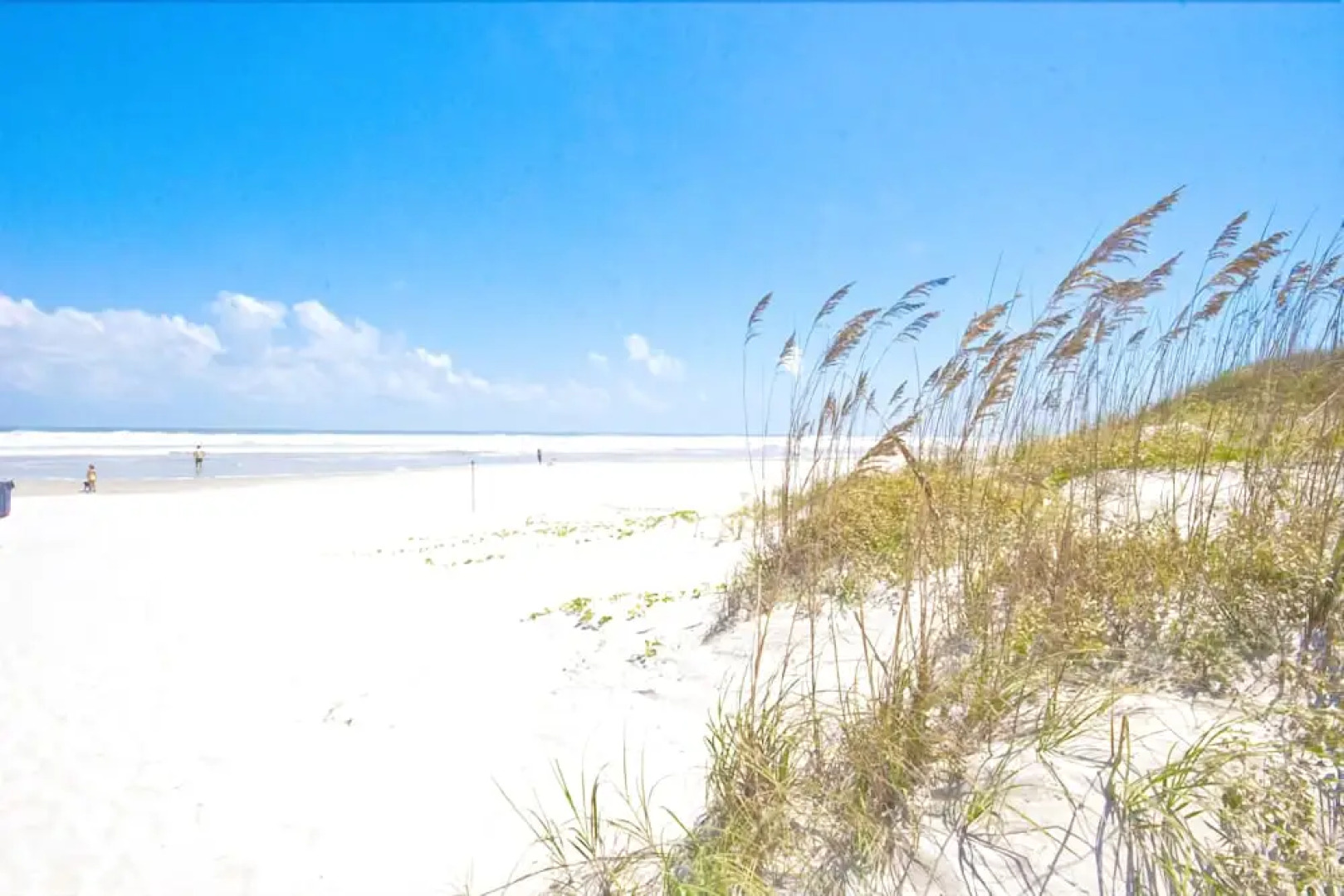 Ocean Village Club Q11 - Two Bedroom Condo