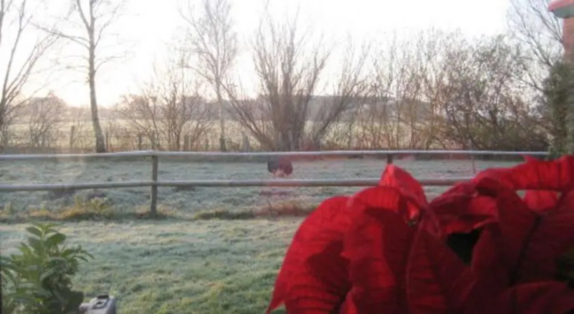 Ferienhaus Christianskoog