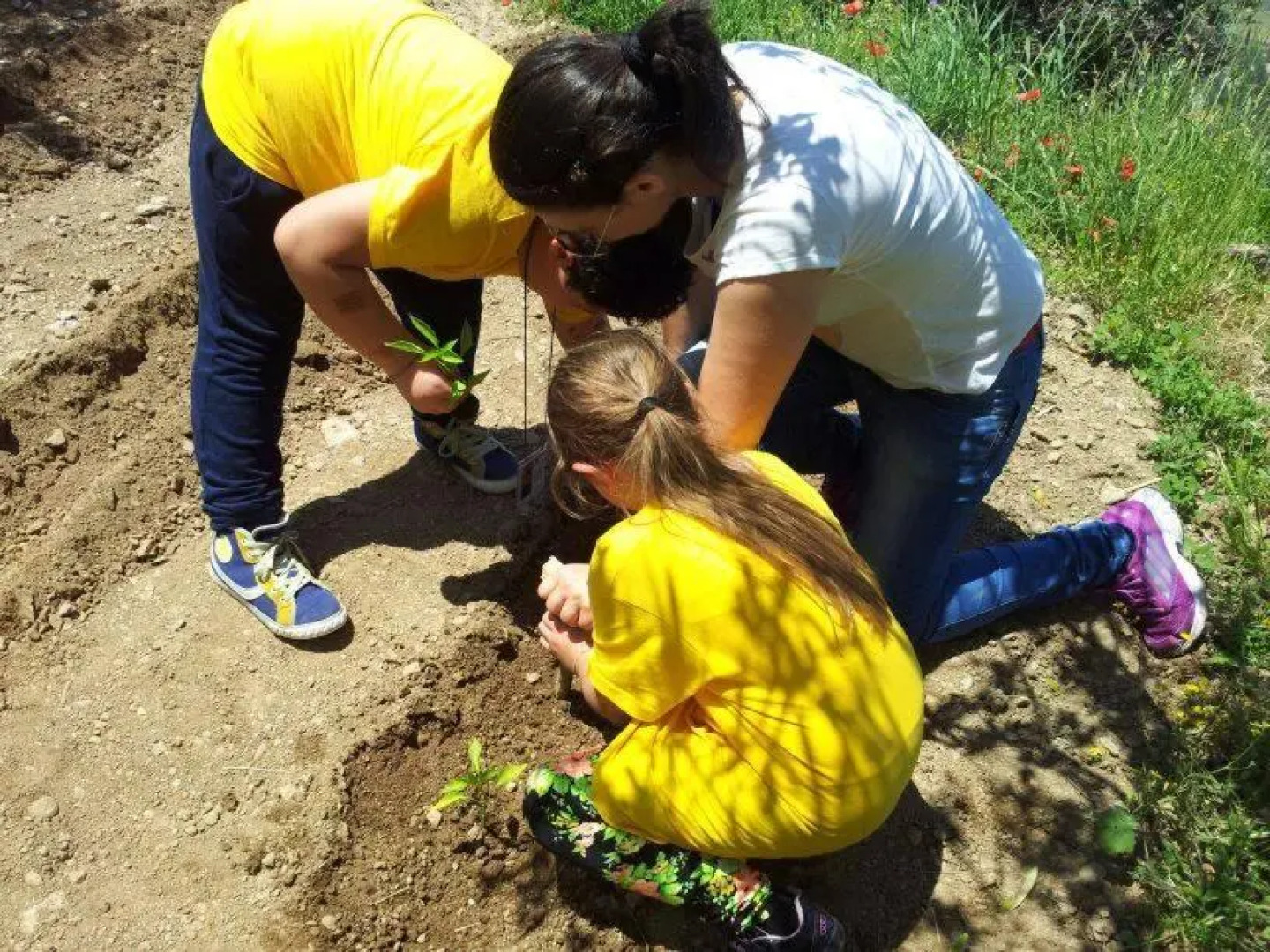 Agriturismo La Palombara