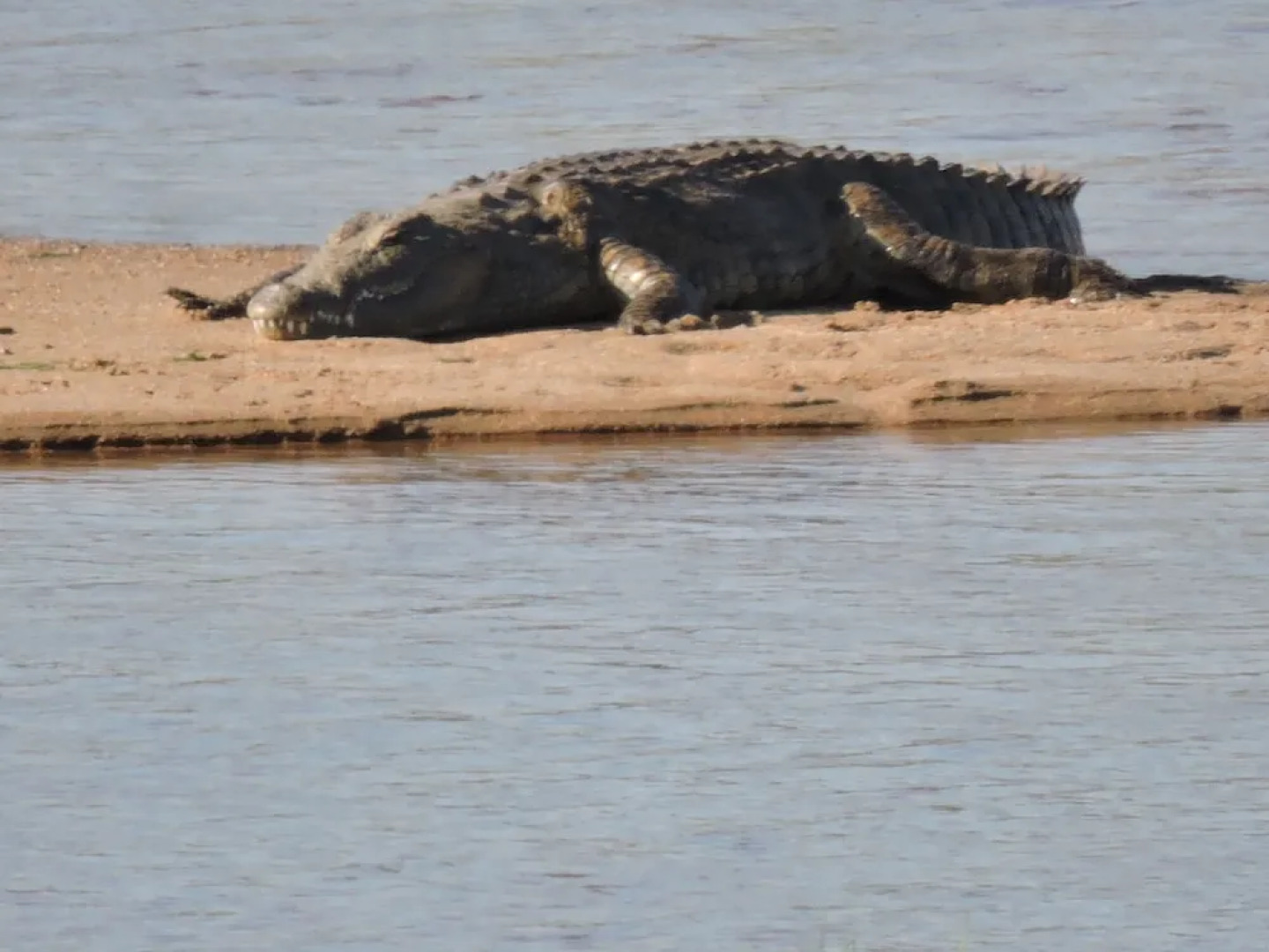 Umvangazi Rest - Enjoy a Relaxing, Rejuvenating and Peaceful Setting in the Bush