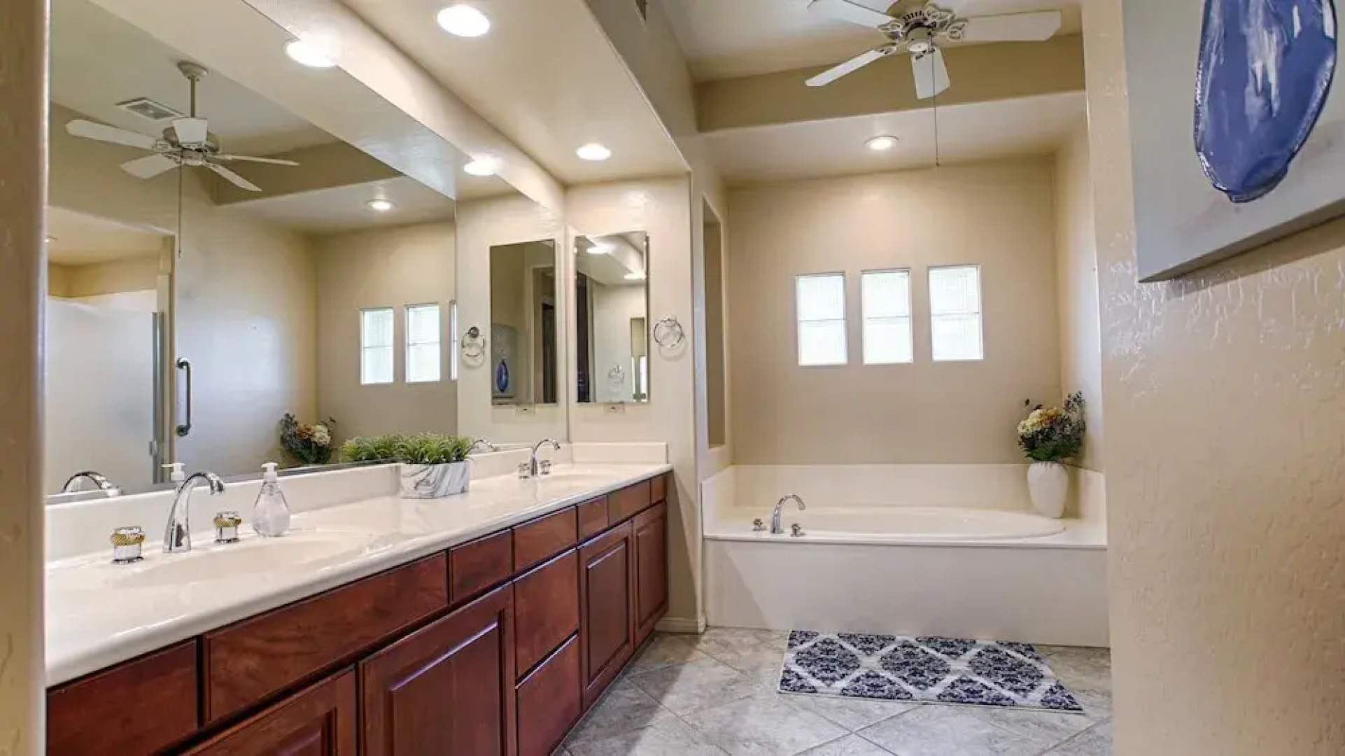 Lynx Chandler/ocotillo