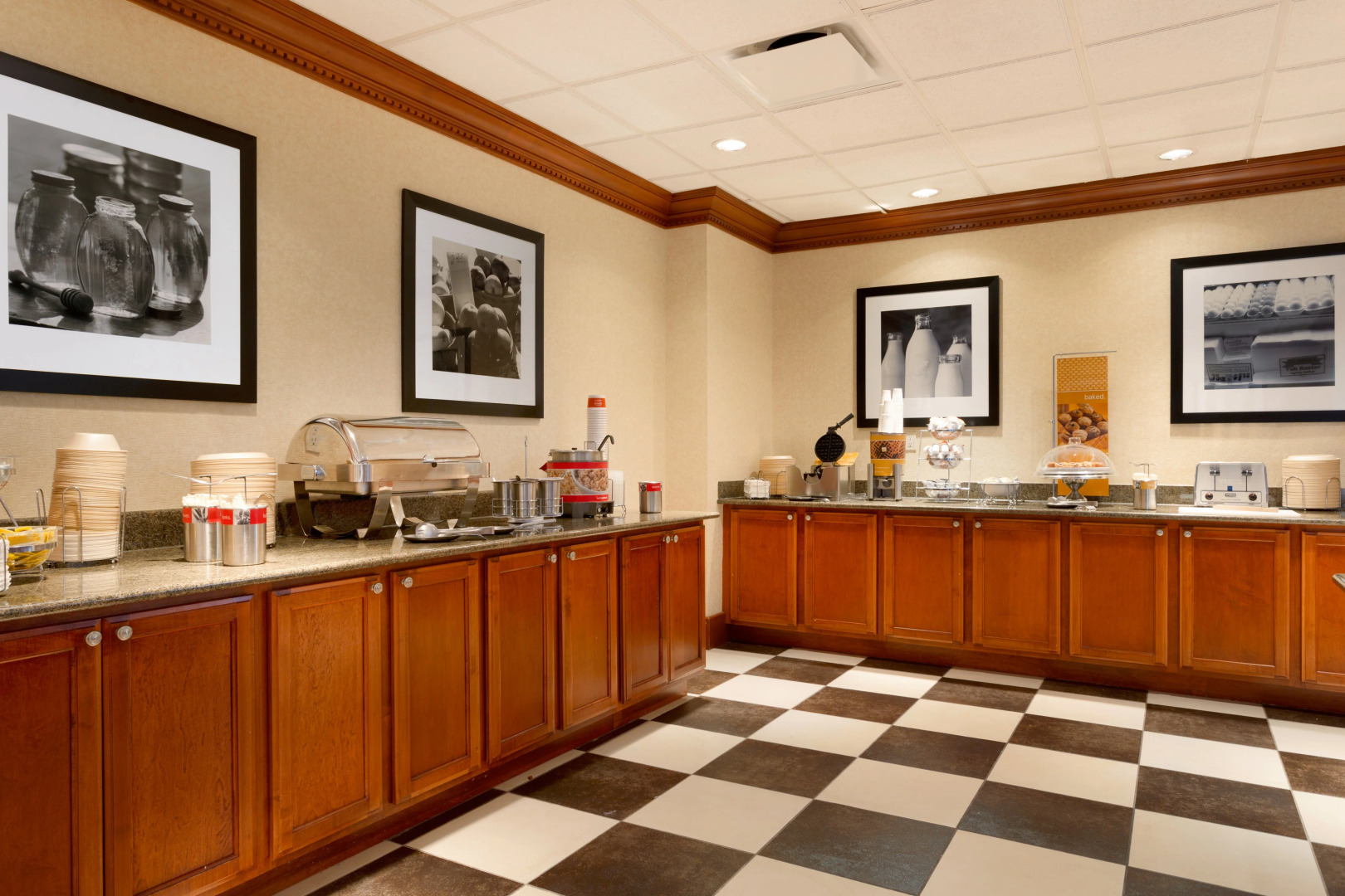 Hampton Inn Hotel Detroit/Belleville-Airport Area