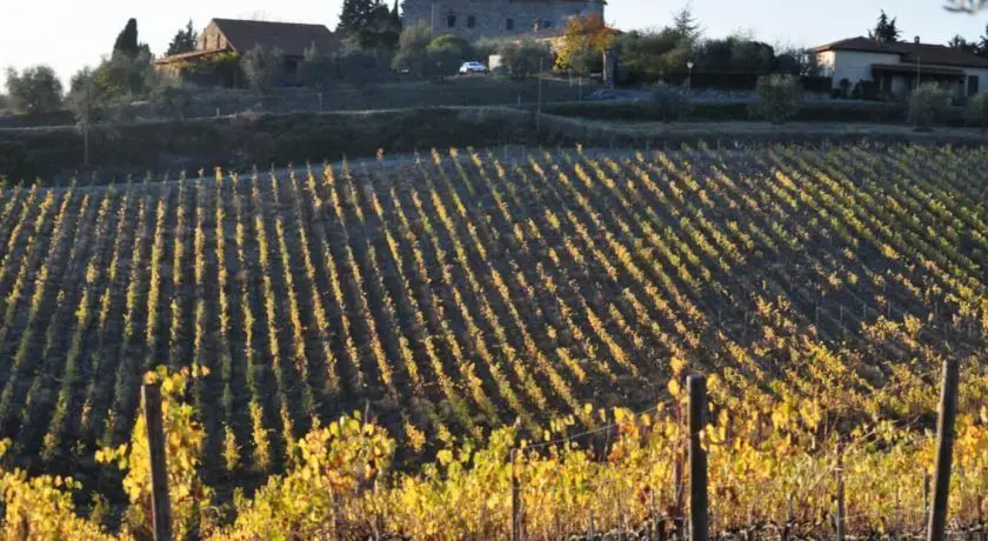 Castello San Leonino