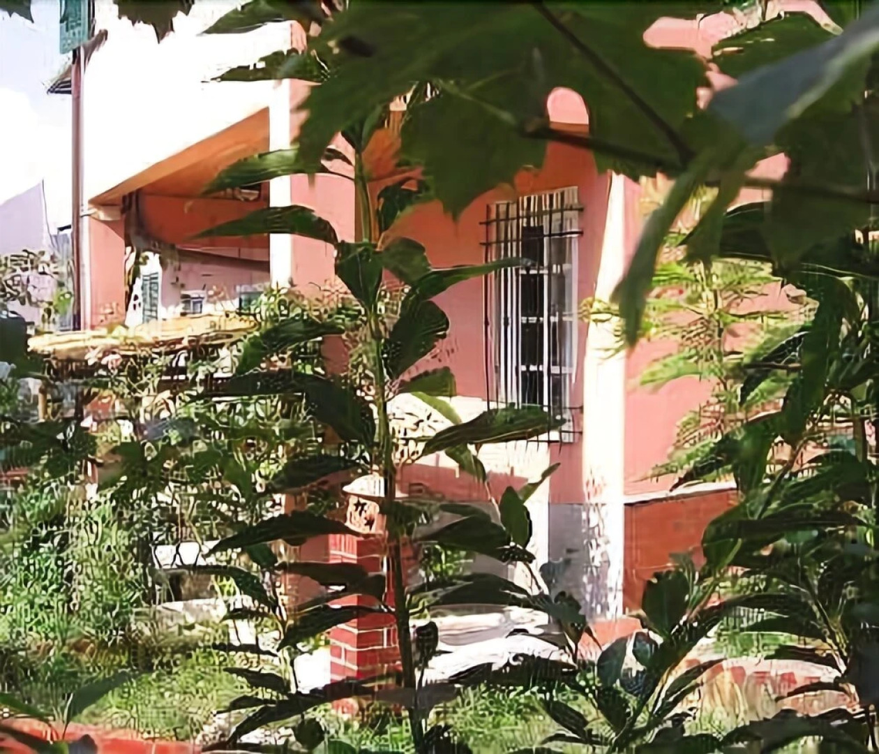 Appartamento La Via Del Mare