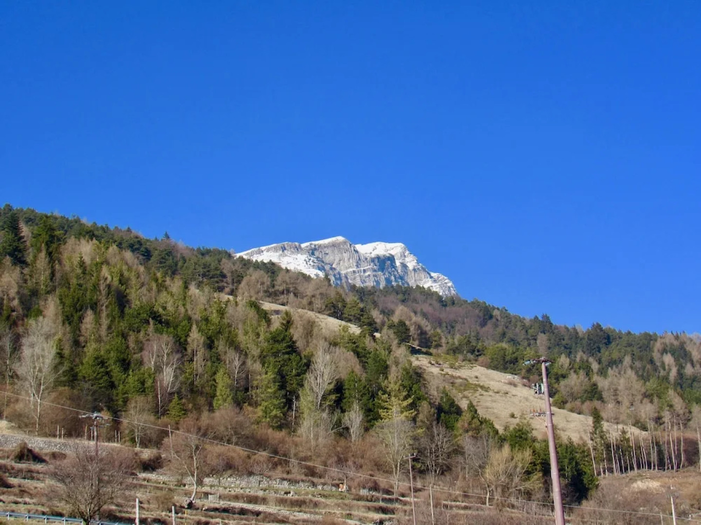 Design Apartment Donna Olga