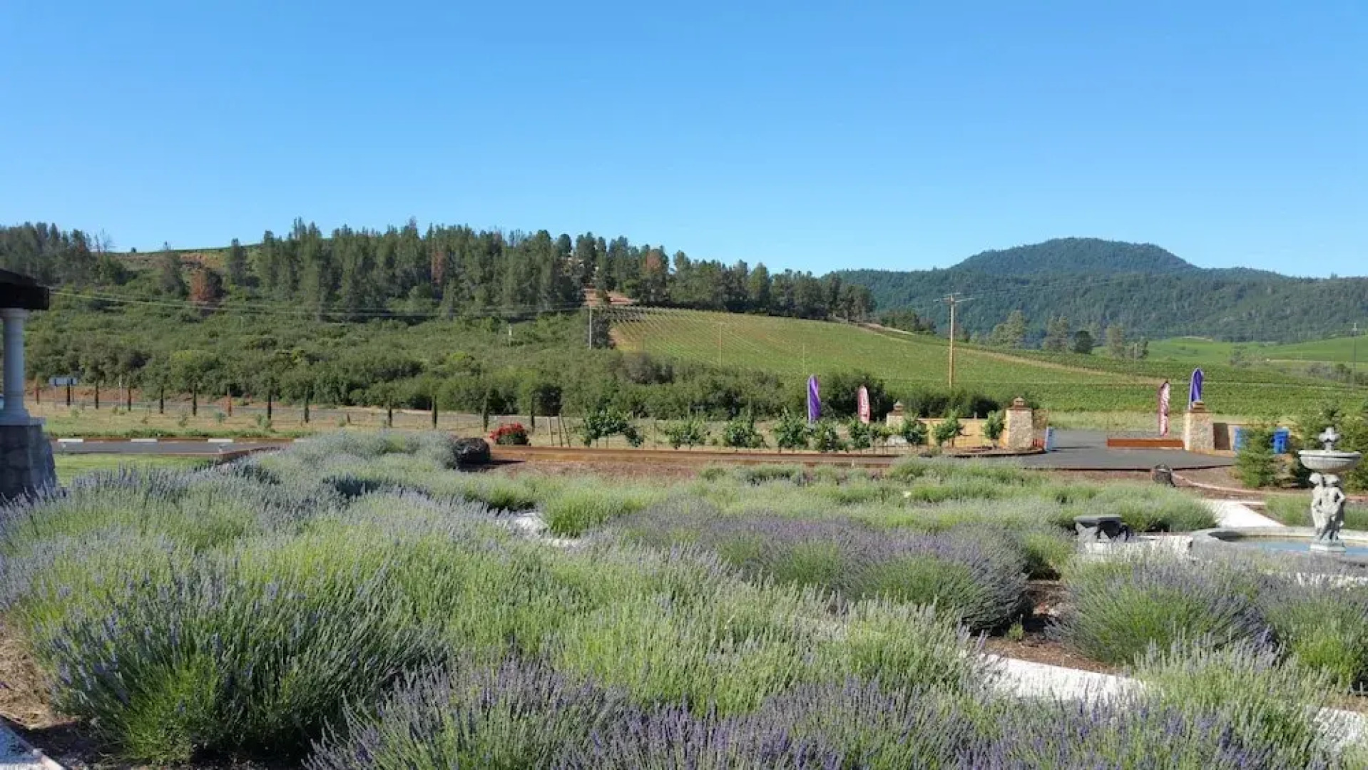 Thorn Hill Vineyard Villas