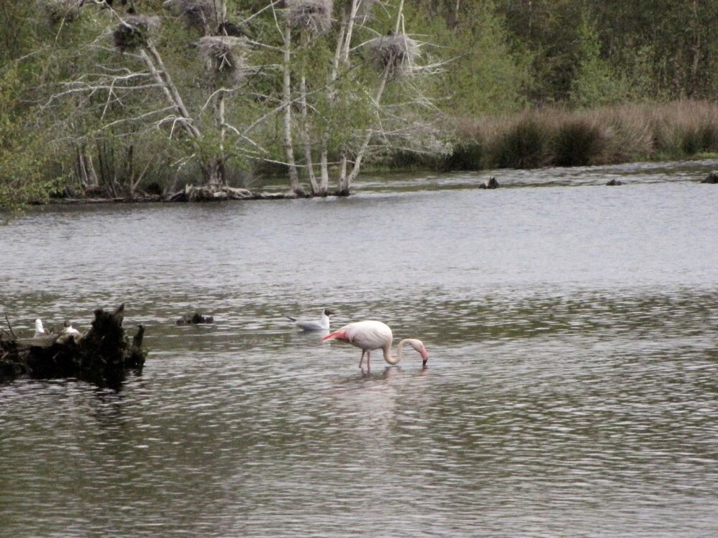Lavishly Appointed Group Accommodation in a Quiet Location With Distant Views and a Swimming Pond