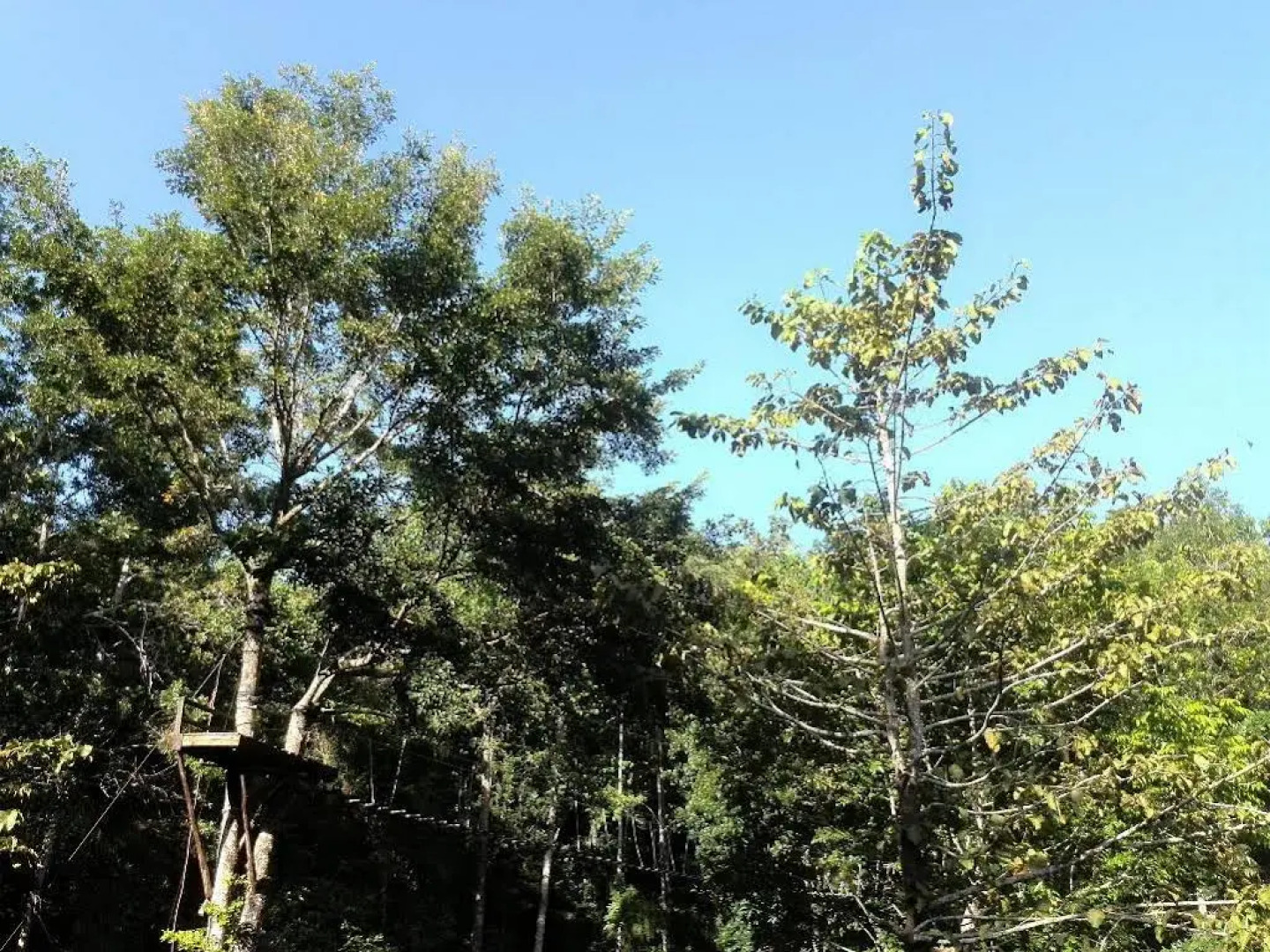 Camp Alfredo Adventure Resort