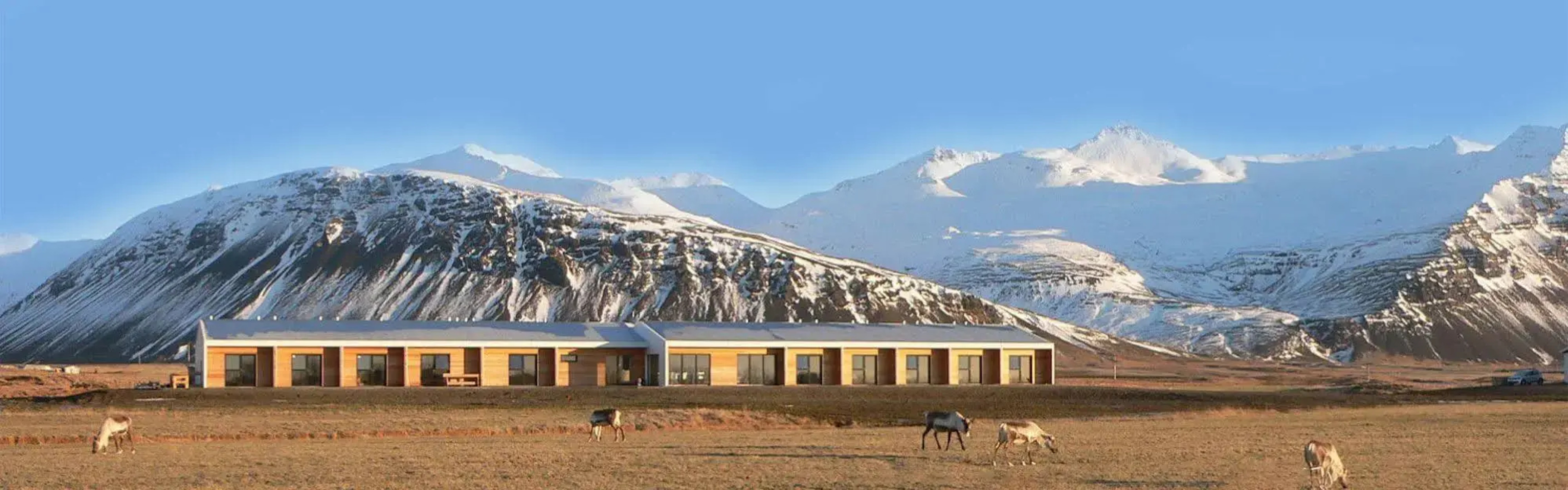 Seljavellir Guesthouse