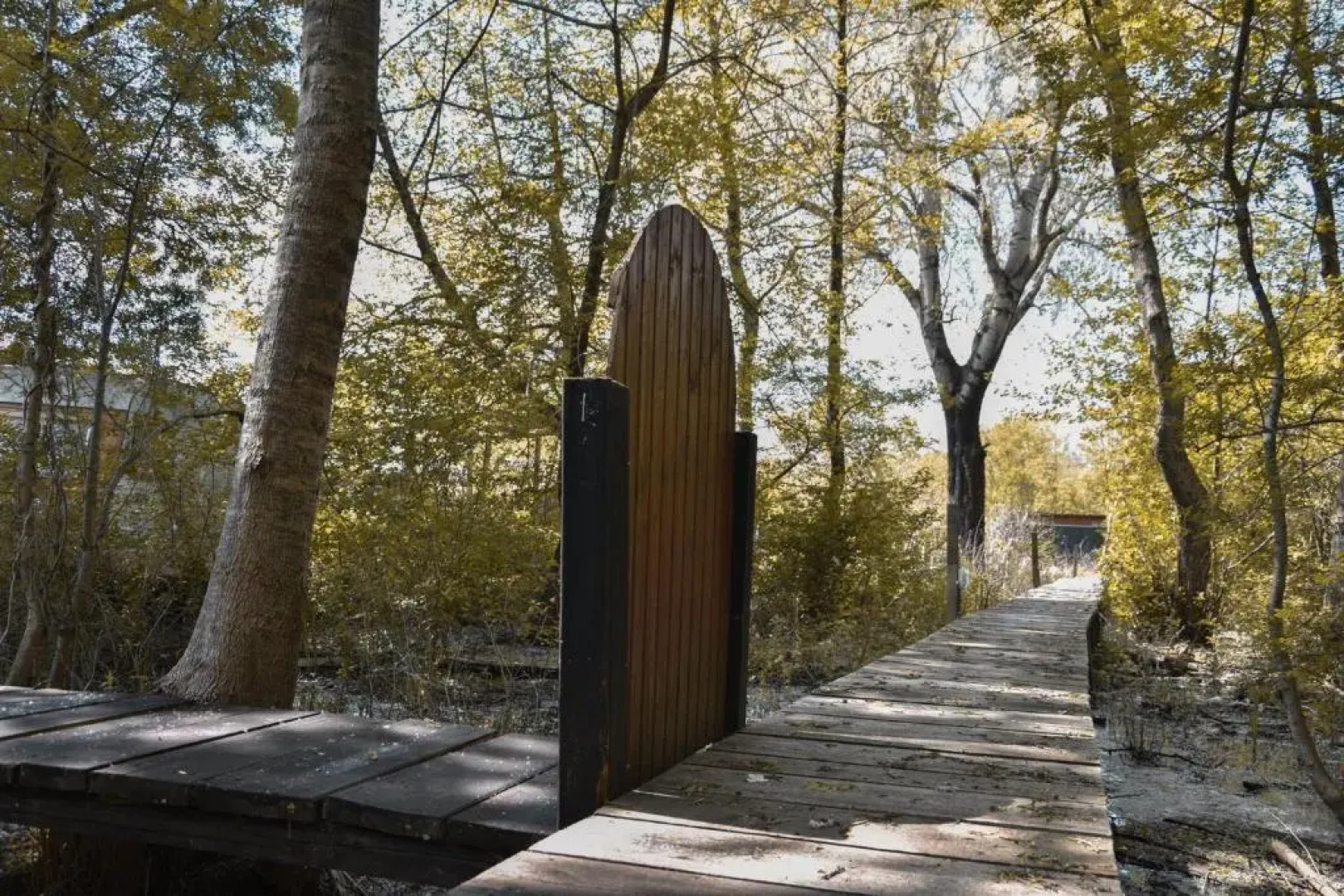 Jungle II River Cottage Ada Bojana - Ulcinj