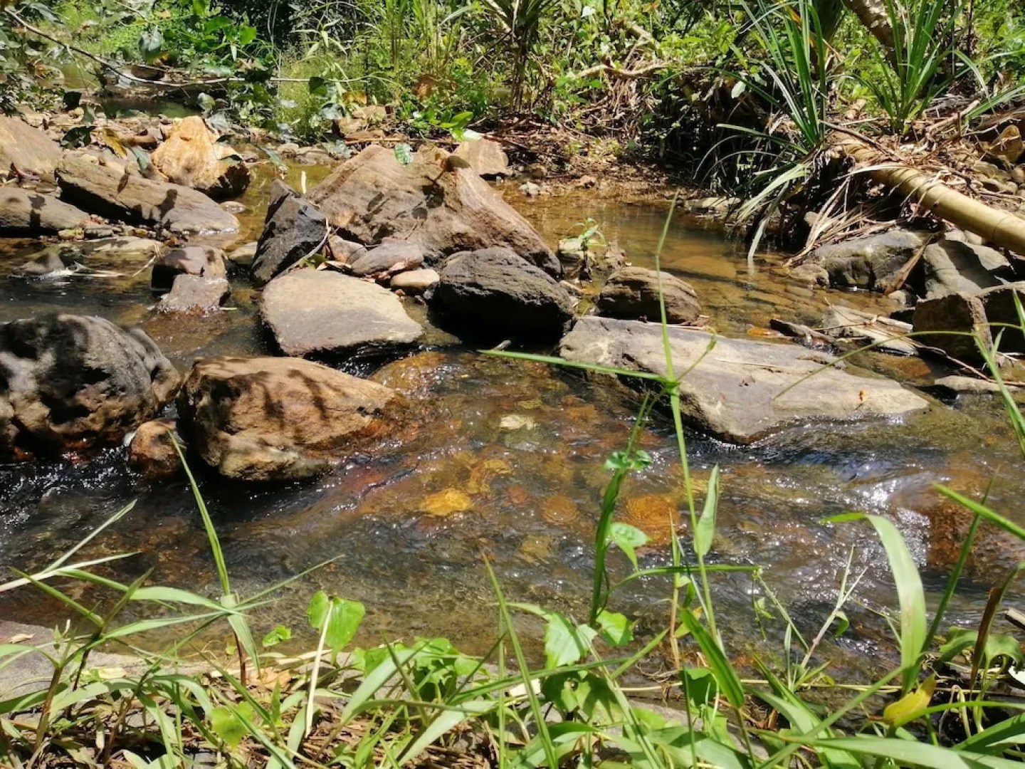 Silent Bungalow River Side