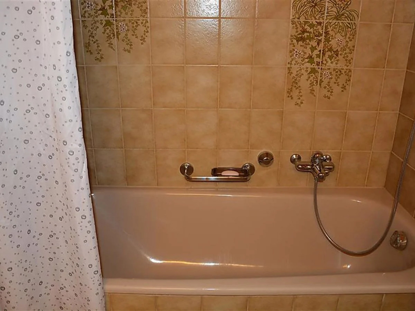 Apartment Hornflue (Wohlwender)