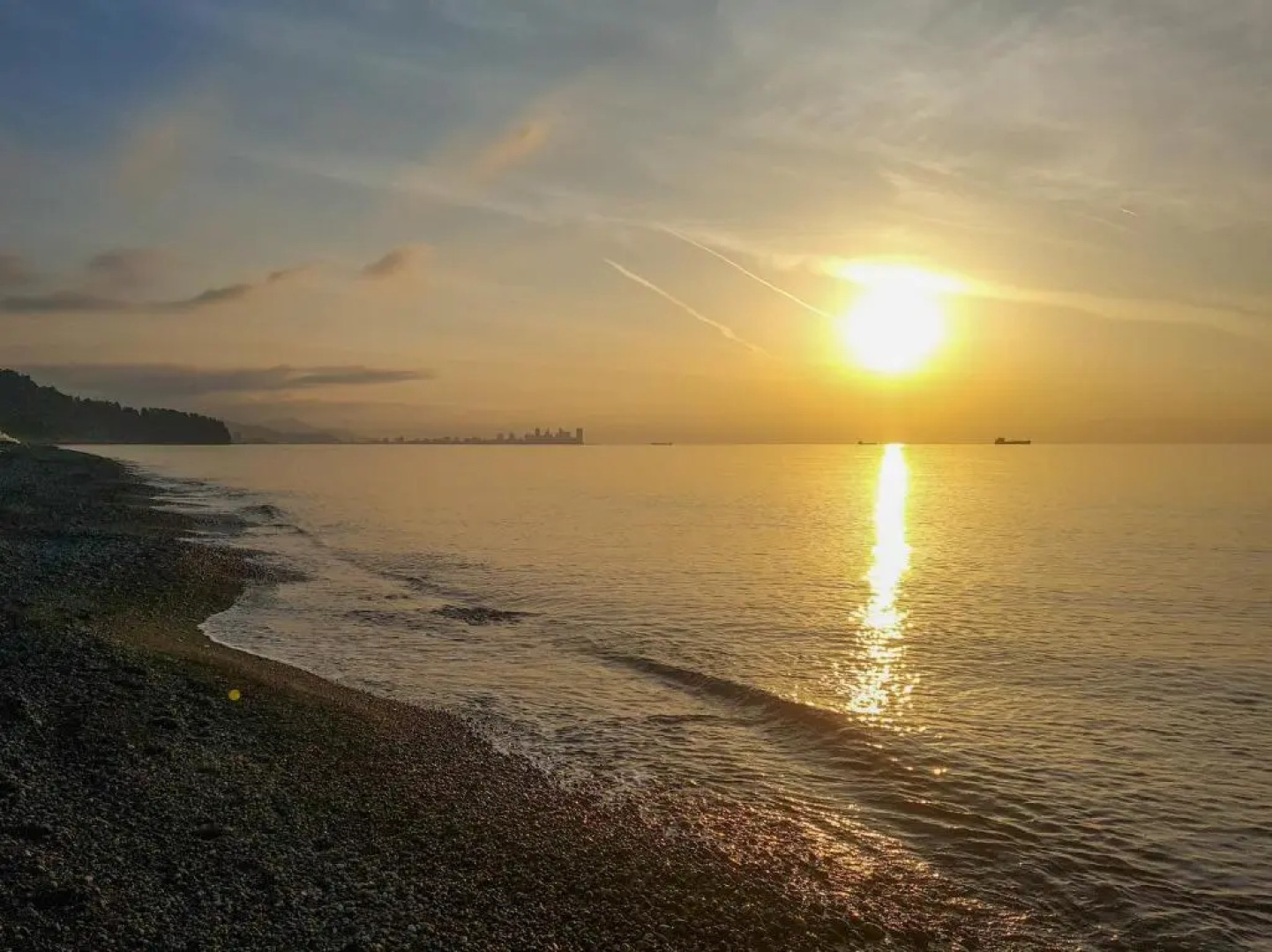 Luxury Dreamland Oasis Apartments