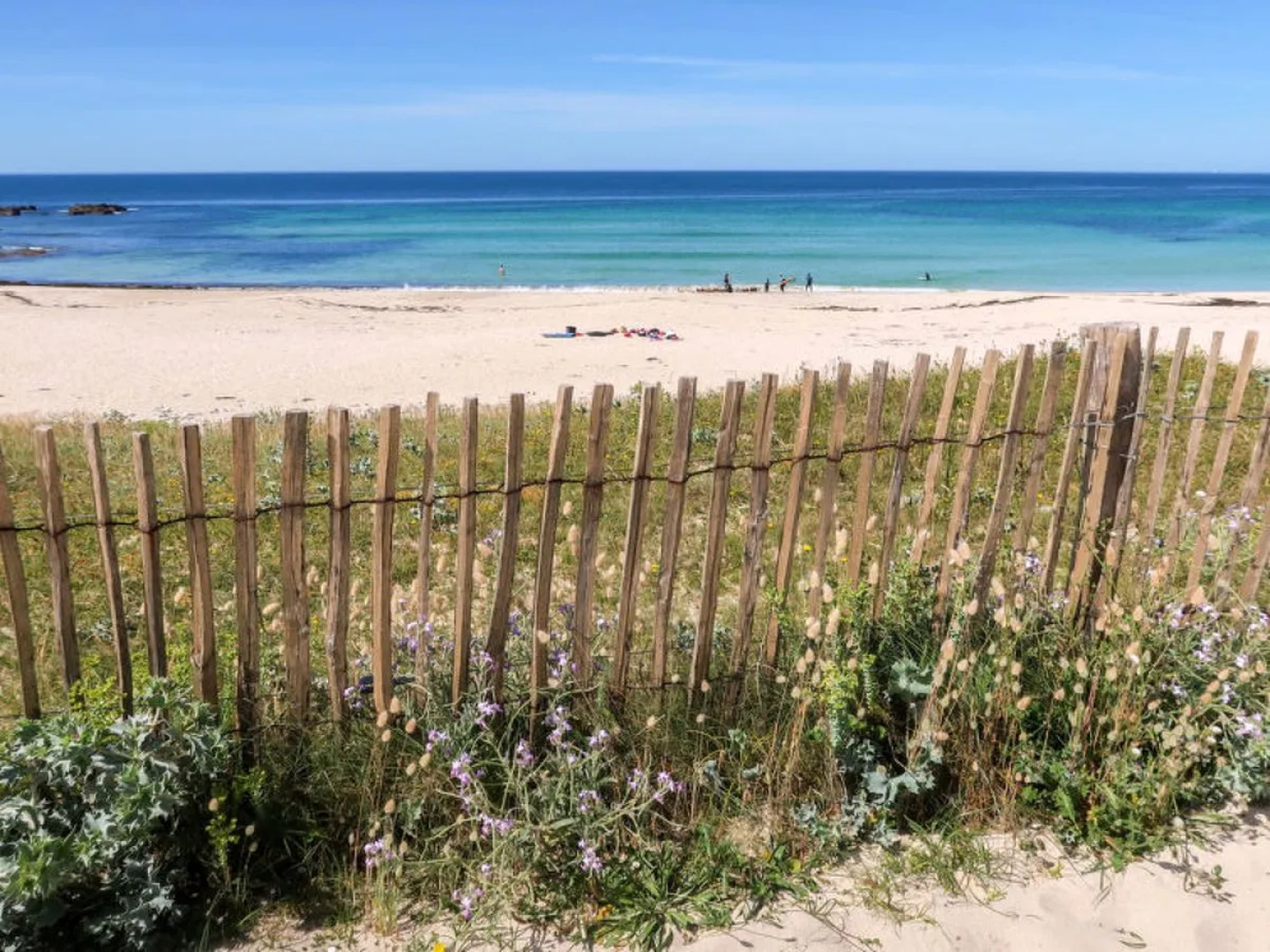 Rendez-vous iÂ  la plage (PZV101)