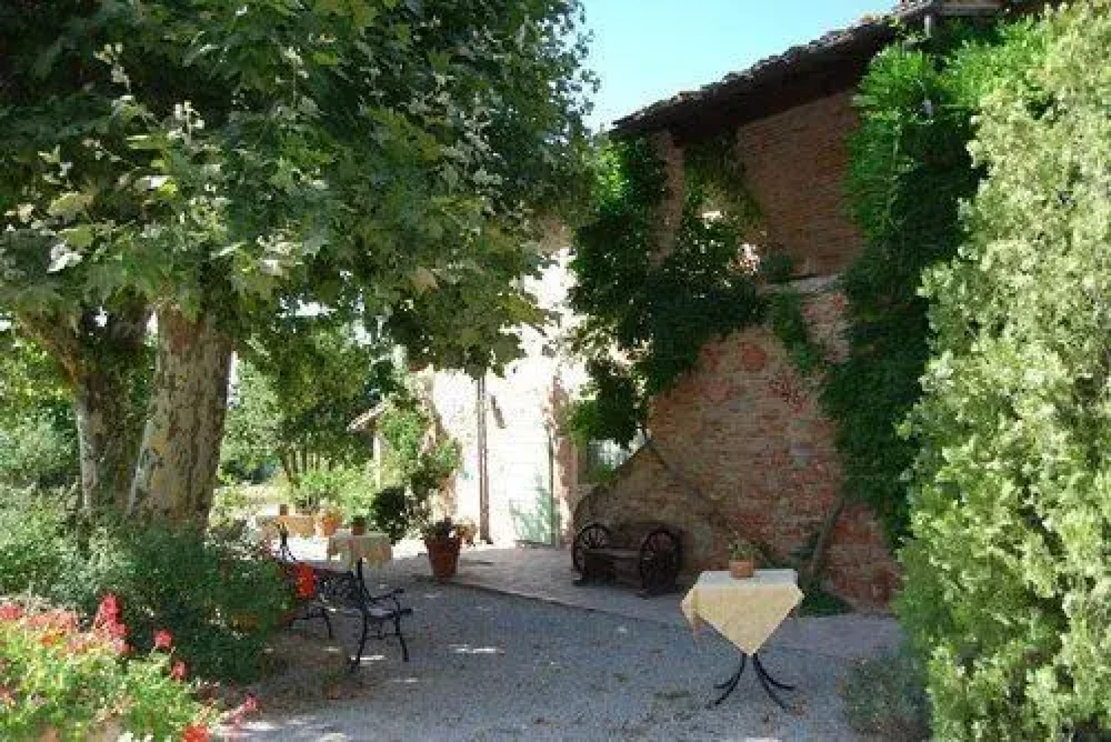 Tenuta il Pino