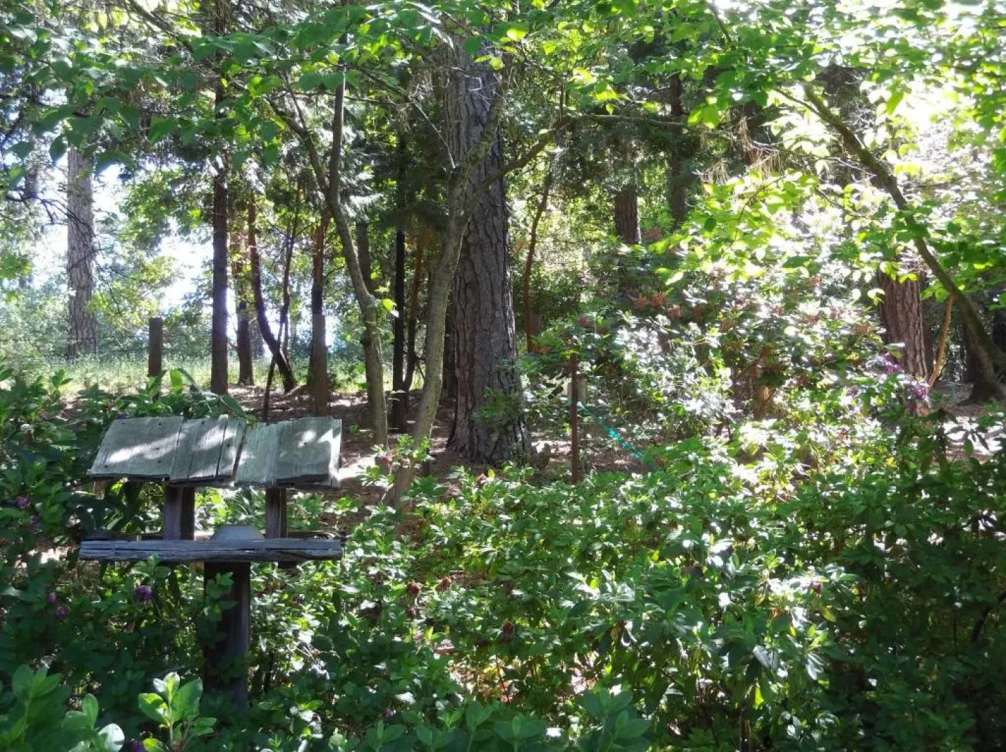 Ponderosa Ridge A B & B