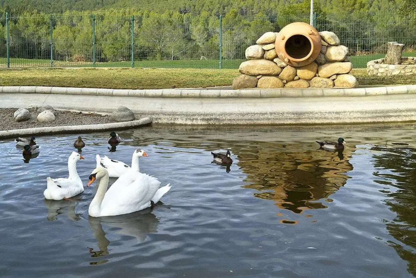 Apartament la Terrassa - Mas el Brugue