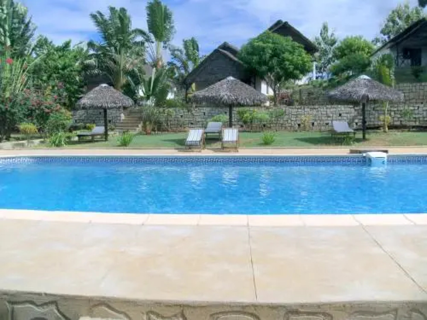 Les Dauphins De Nosy Be