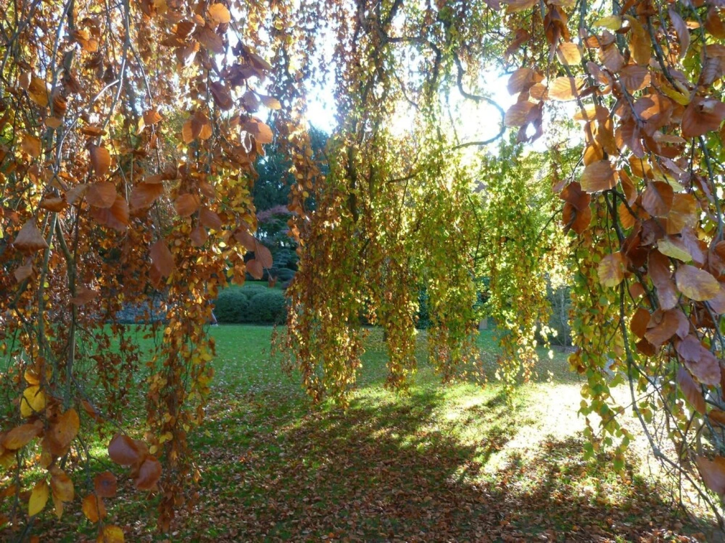 Le Manoir de Boisairault
