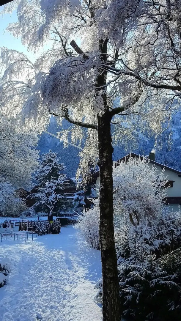 Gästehaus Birkenhof
