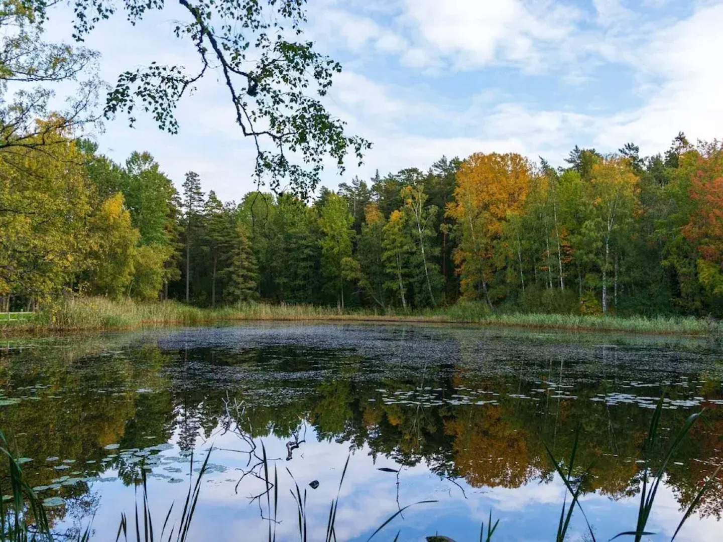 4 Star Holiday Home in Bredaryd