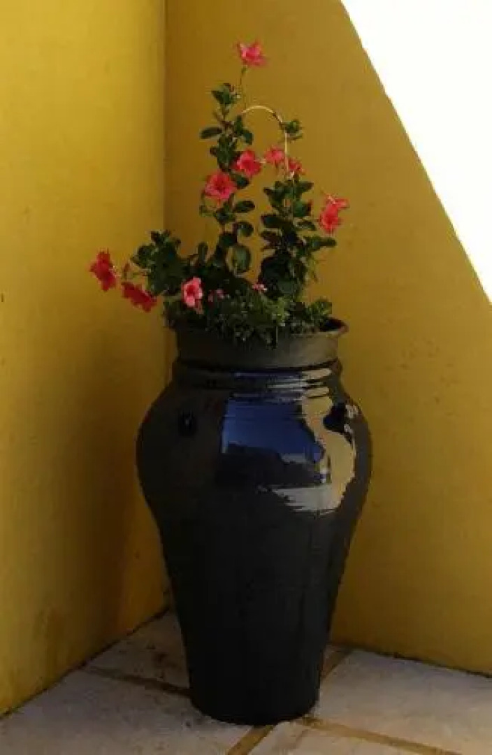 Casa Rural La Encebra