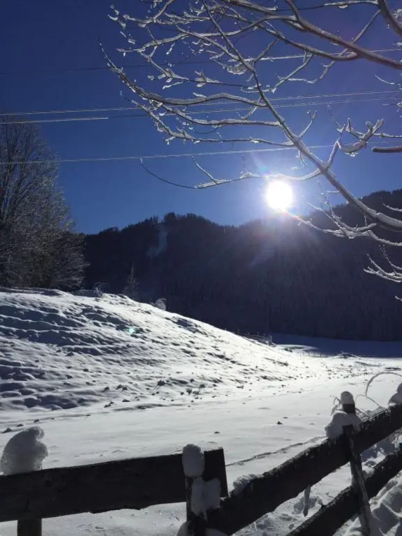 Ferienwohnung Mostecky