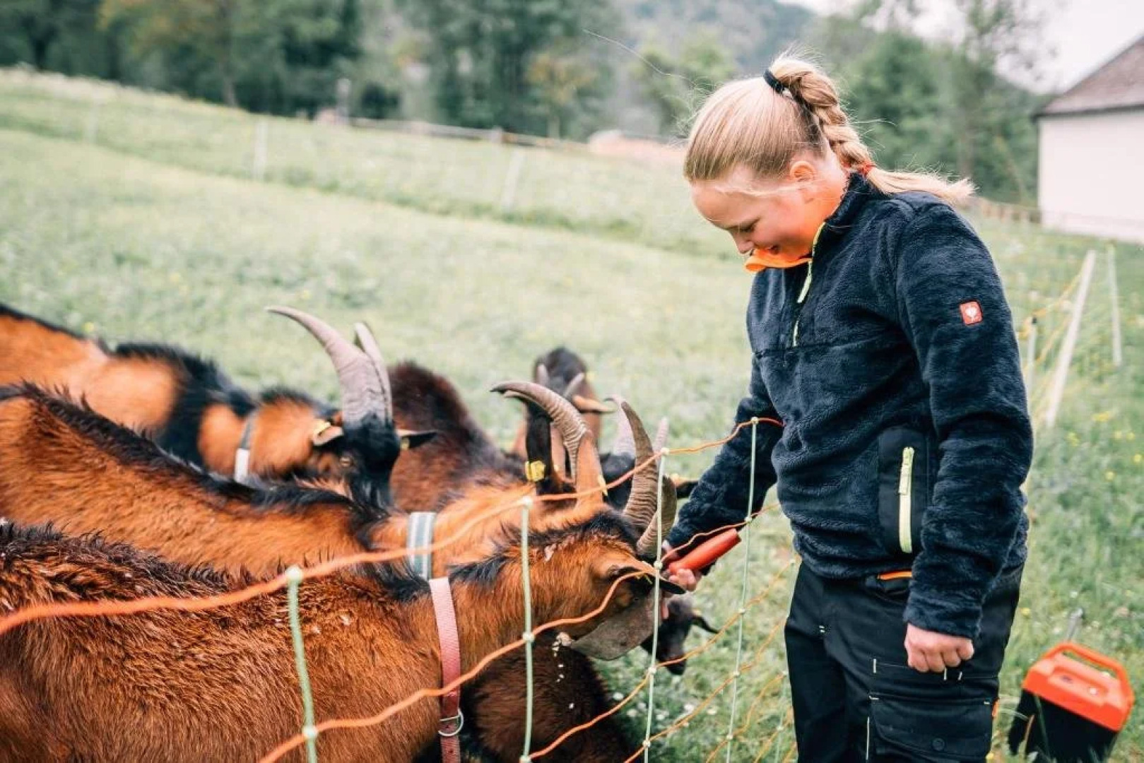 Bauernhof Landhaus Schossleitner
