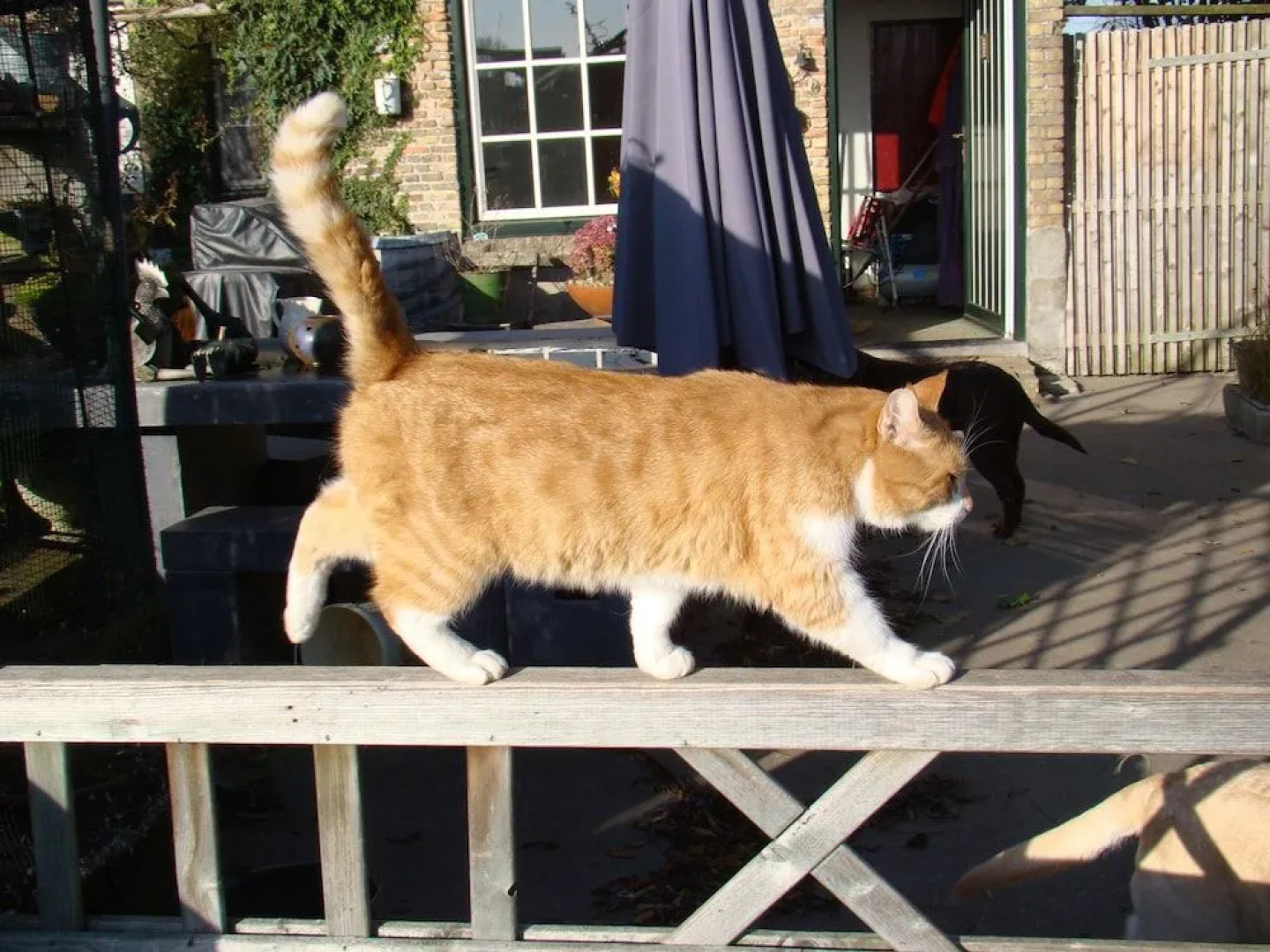 Crea-Trends Vacations - Apartments