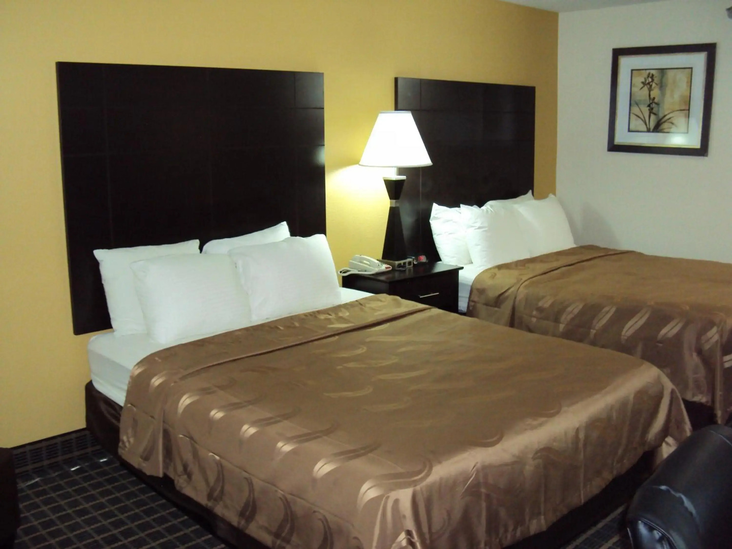 Quality Inn Carbondale University area