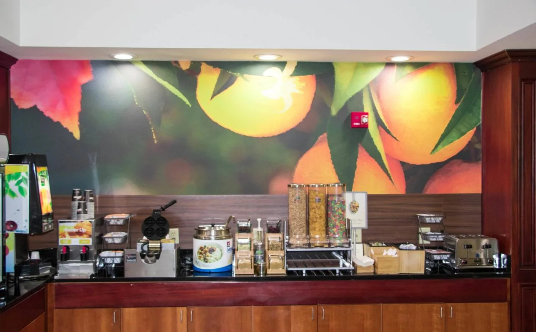 Comfort Inn & Suites Berea