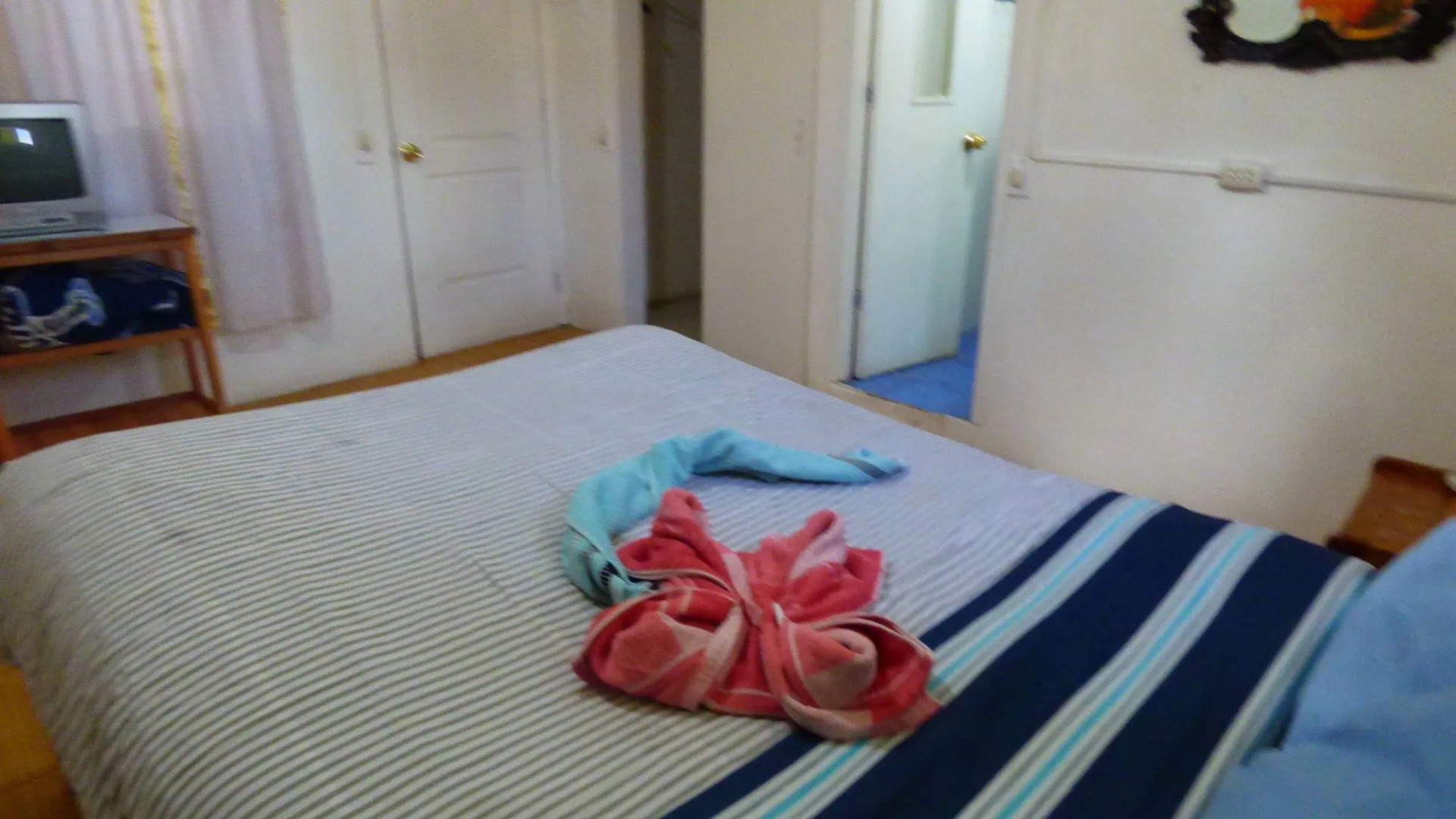 The Grasshopper Hostel