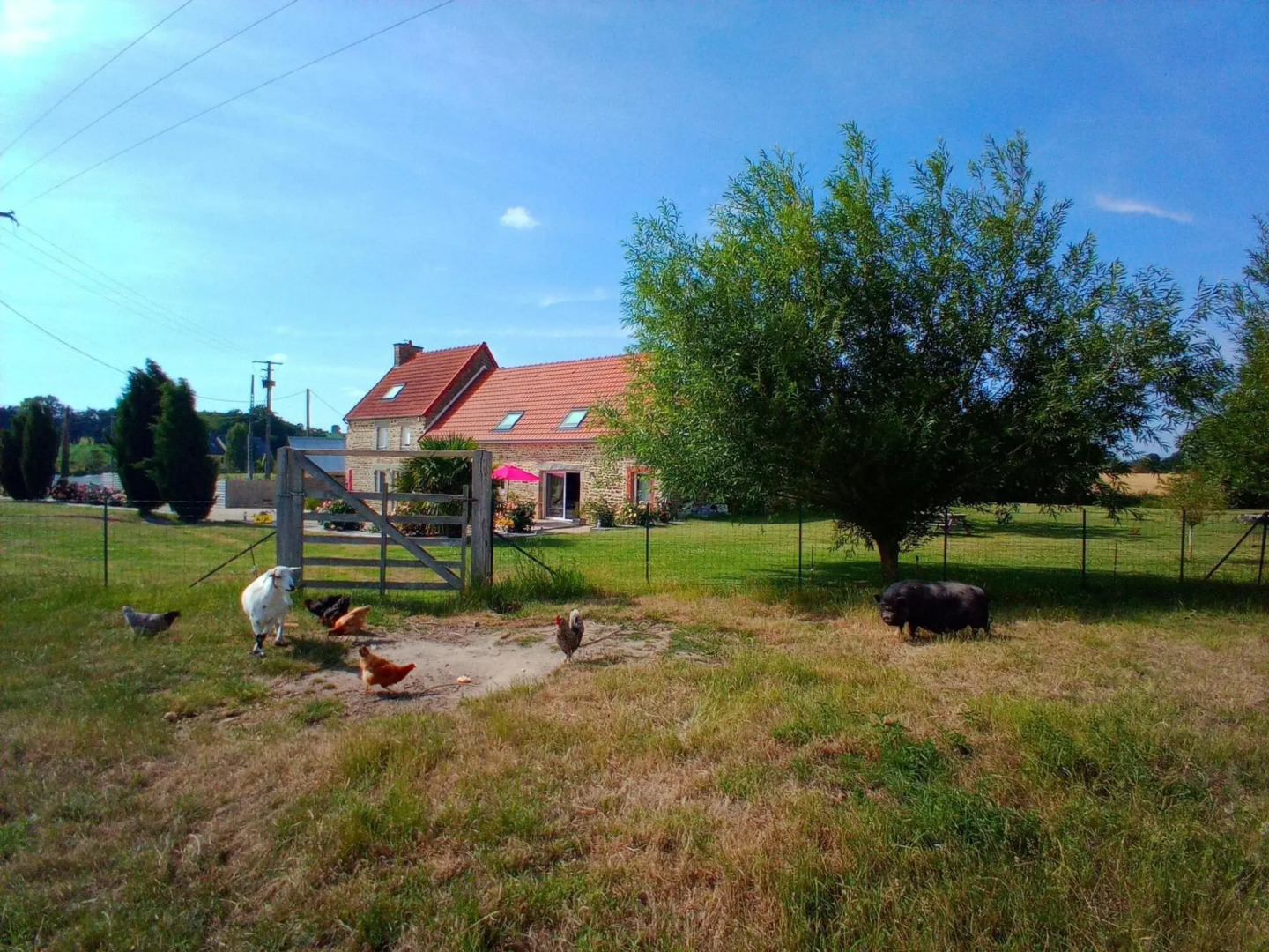Semi Detached House, Bacilly