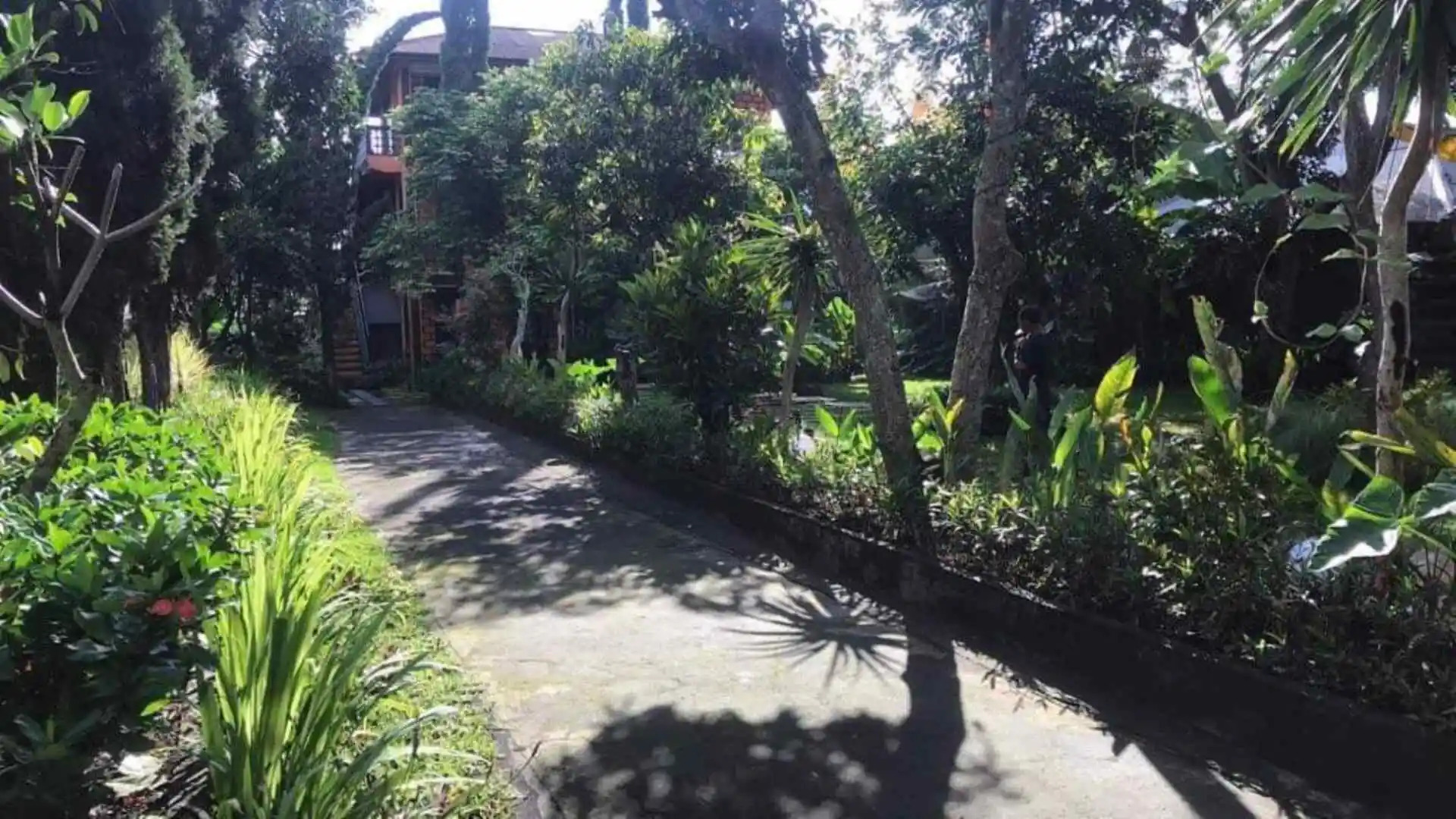 Batur Sunrise Guest House